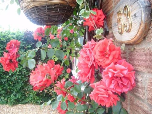 Rosa's Bed and Breakfast