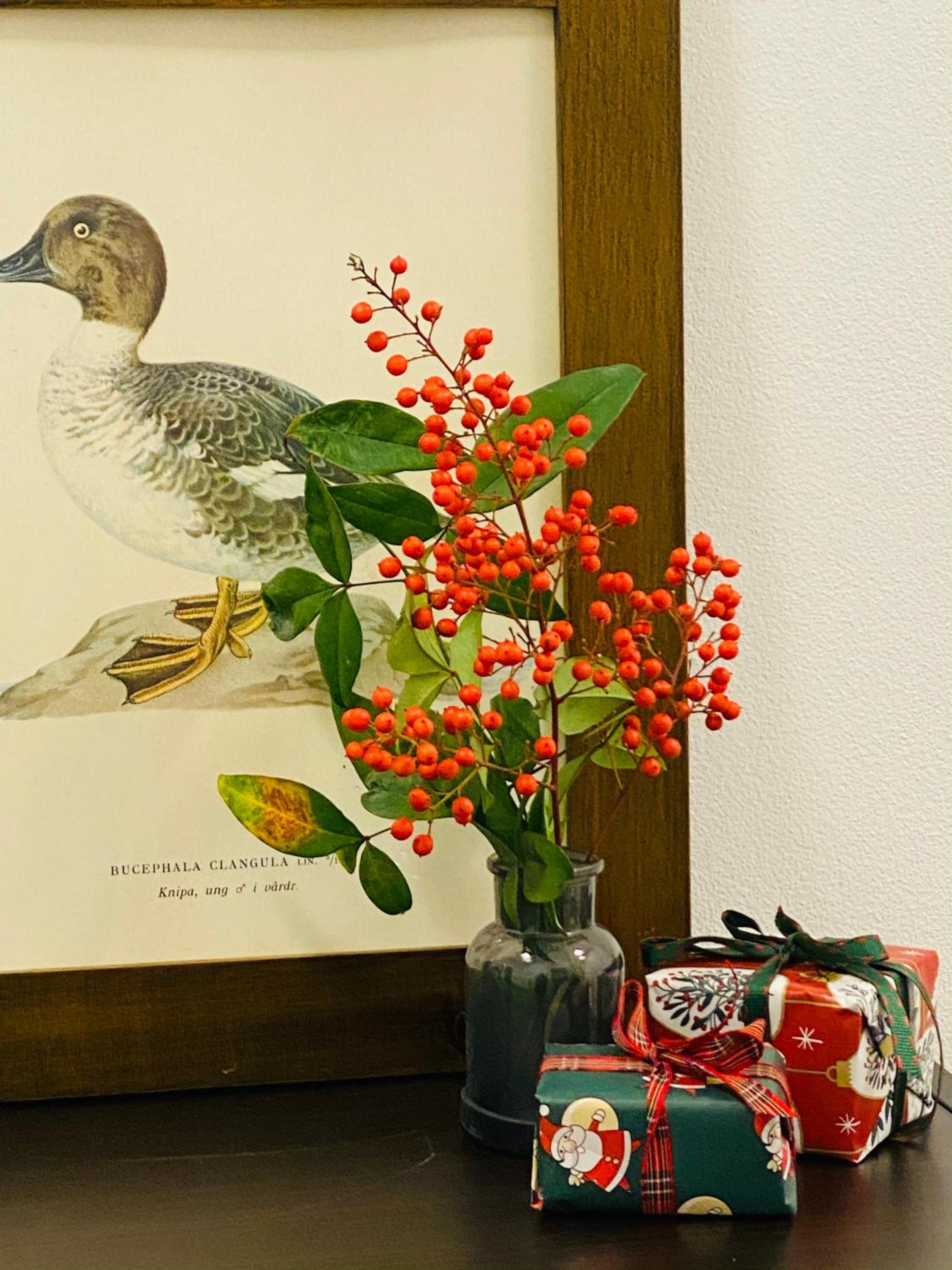 Green House in campagna - Property Image 4