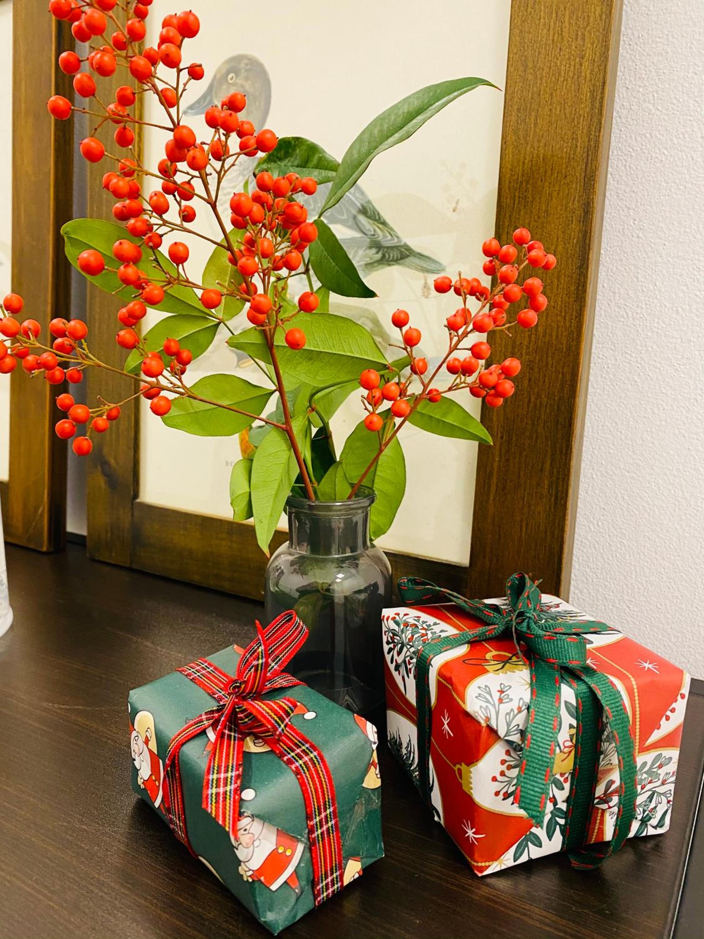 Green House in campagna - Property Image 5