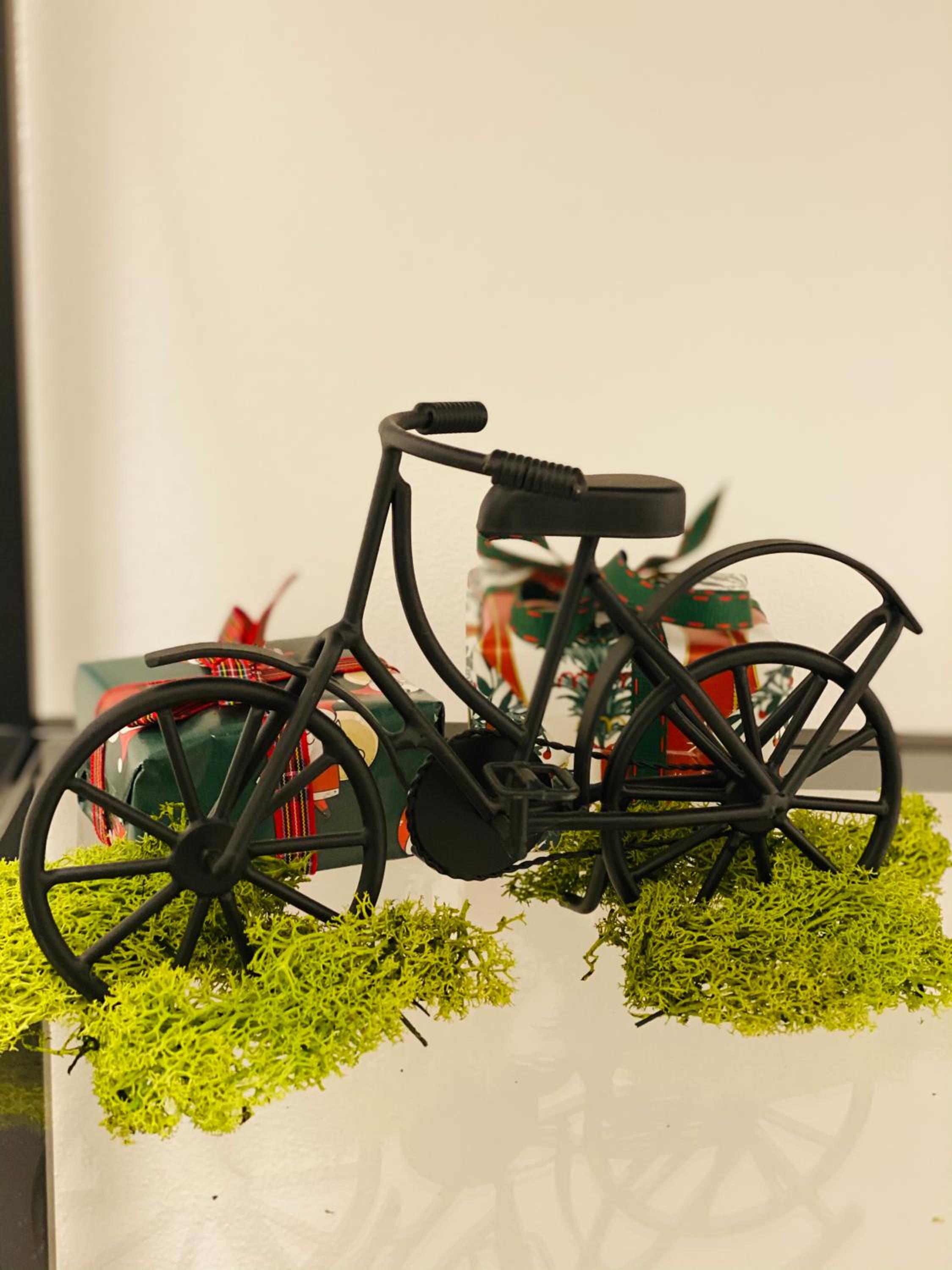 Green House in campagna - Property Image 65