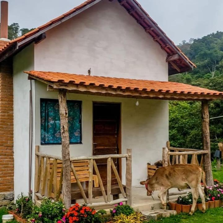 Rancho Pedra do Picú