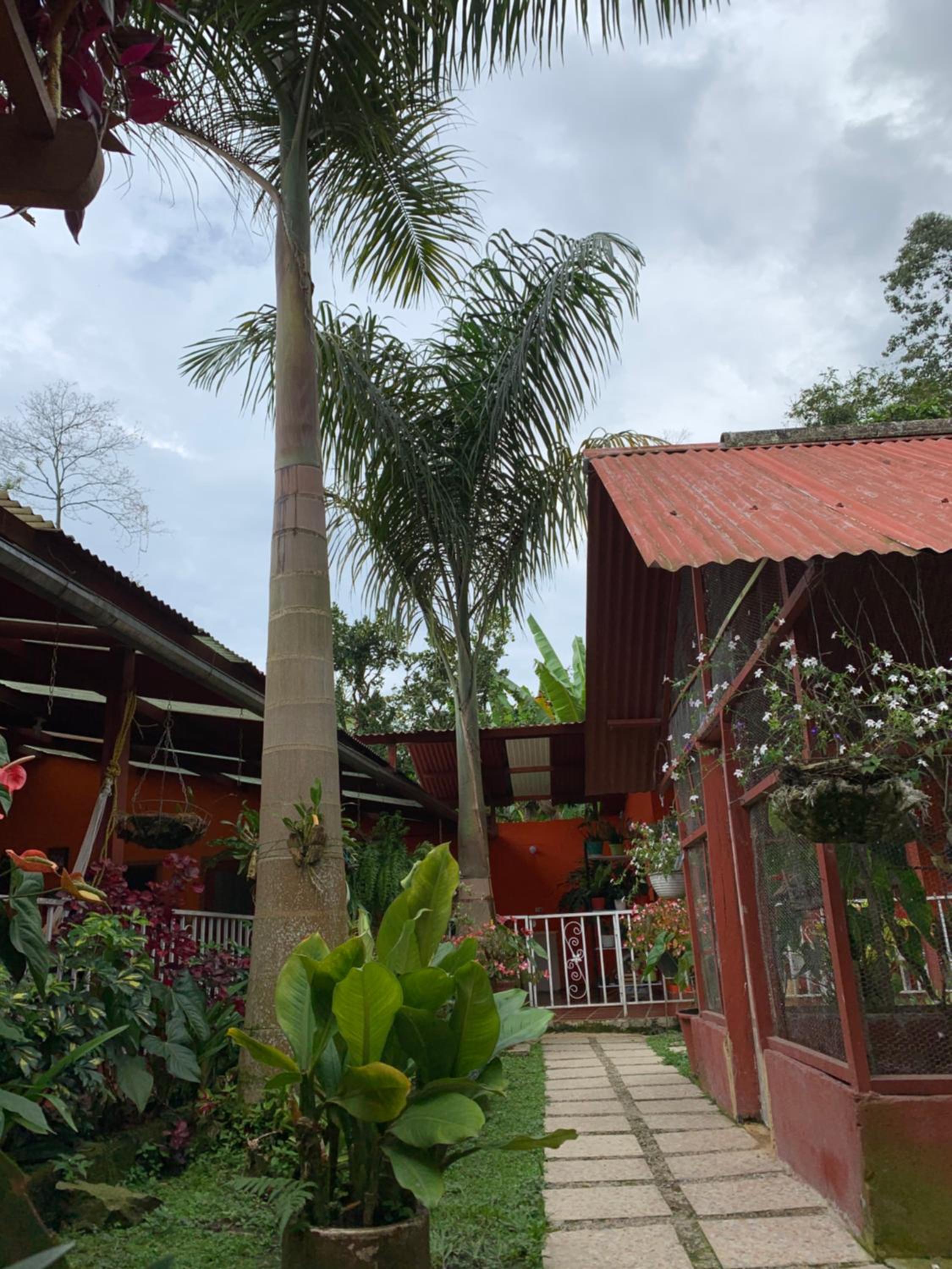 Finca campestre en Mesitas del Colegio