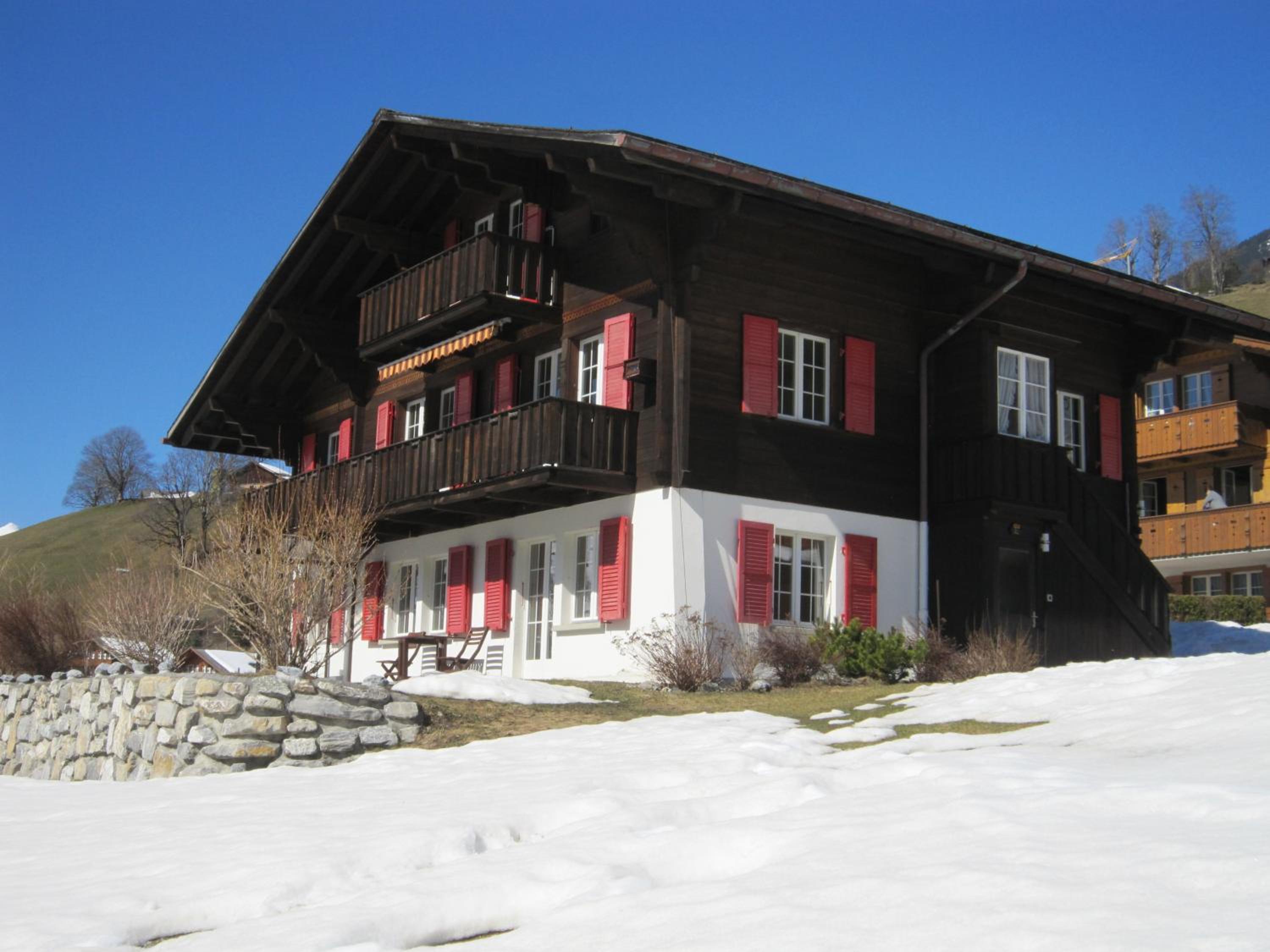 Chalet Aiiny view 2