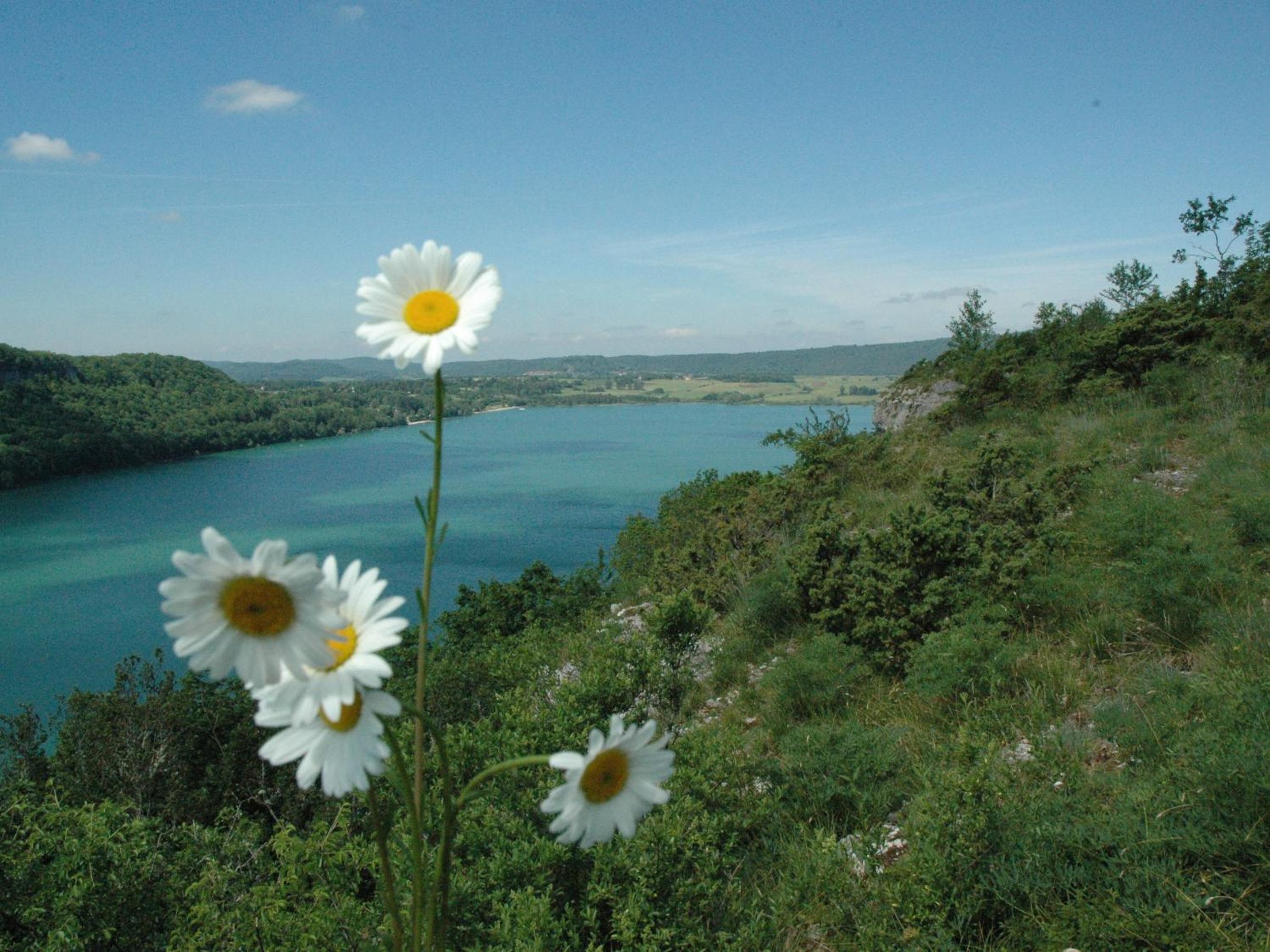 gîtes des planchettes