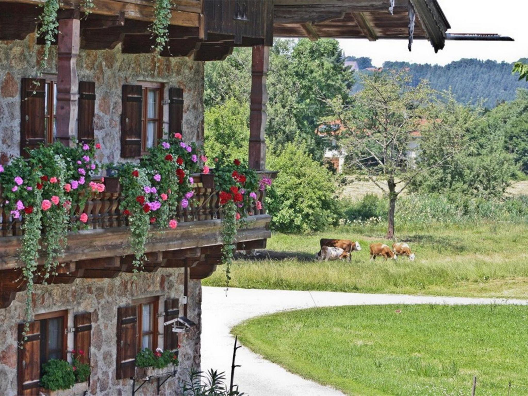 Baumgartner Nagerhof | Chiemgau Karte view 3