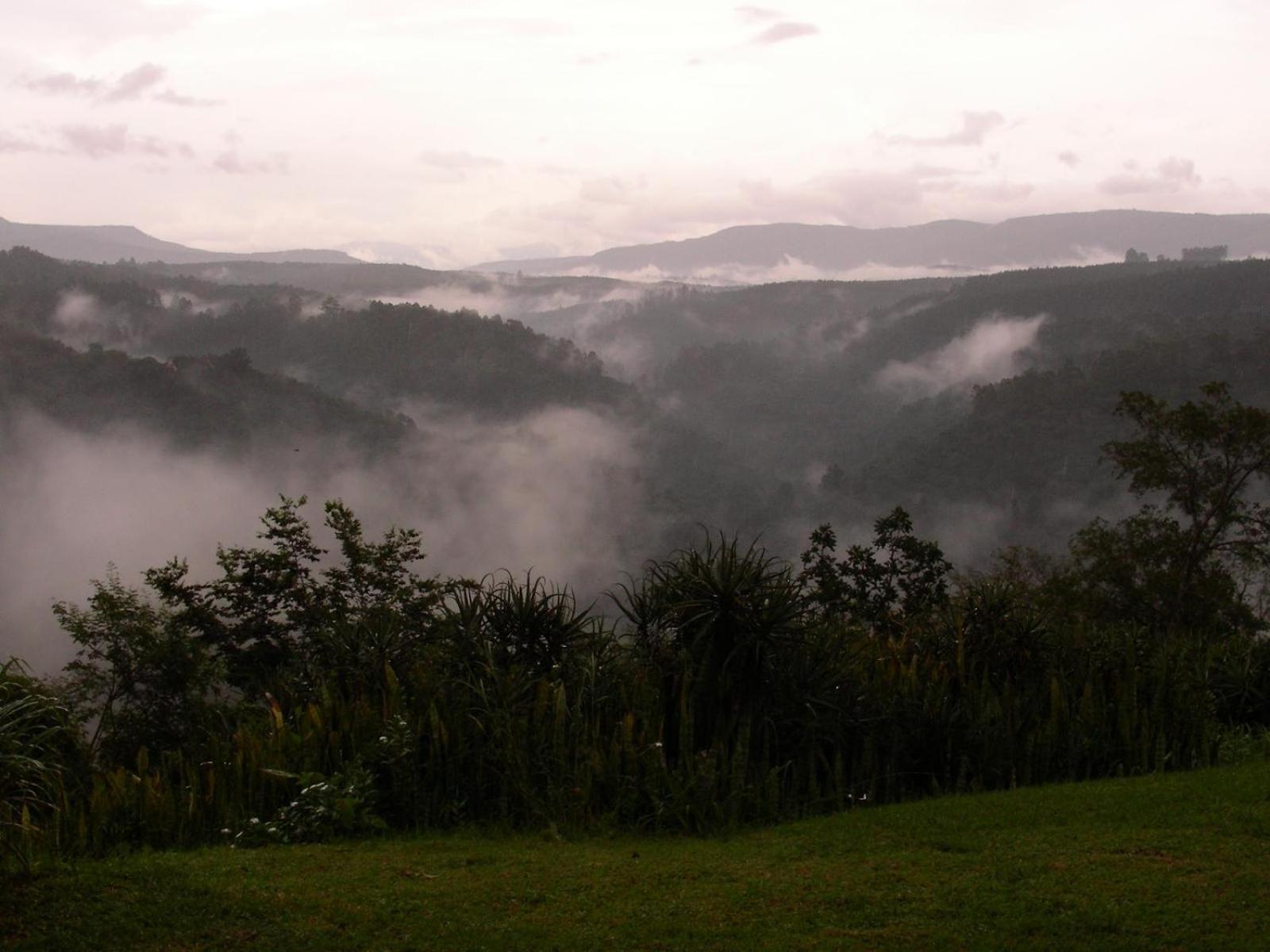 Hazyview Vacations - Bohm's Zeederberg Country House - Property Image 24