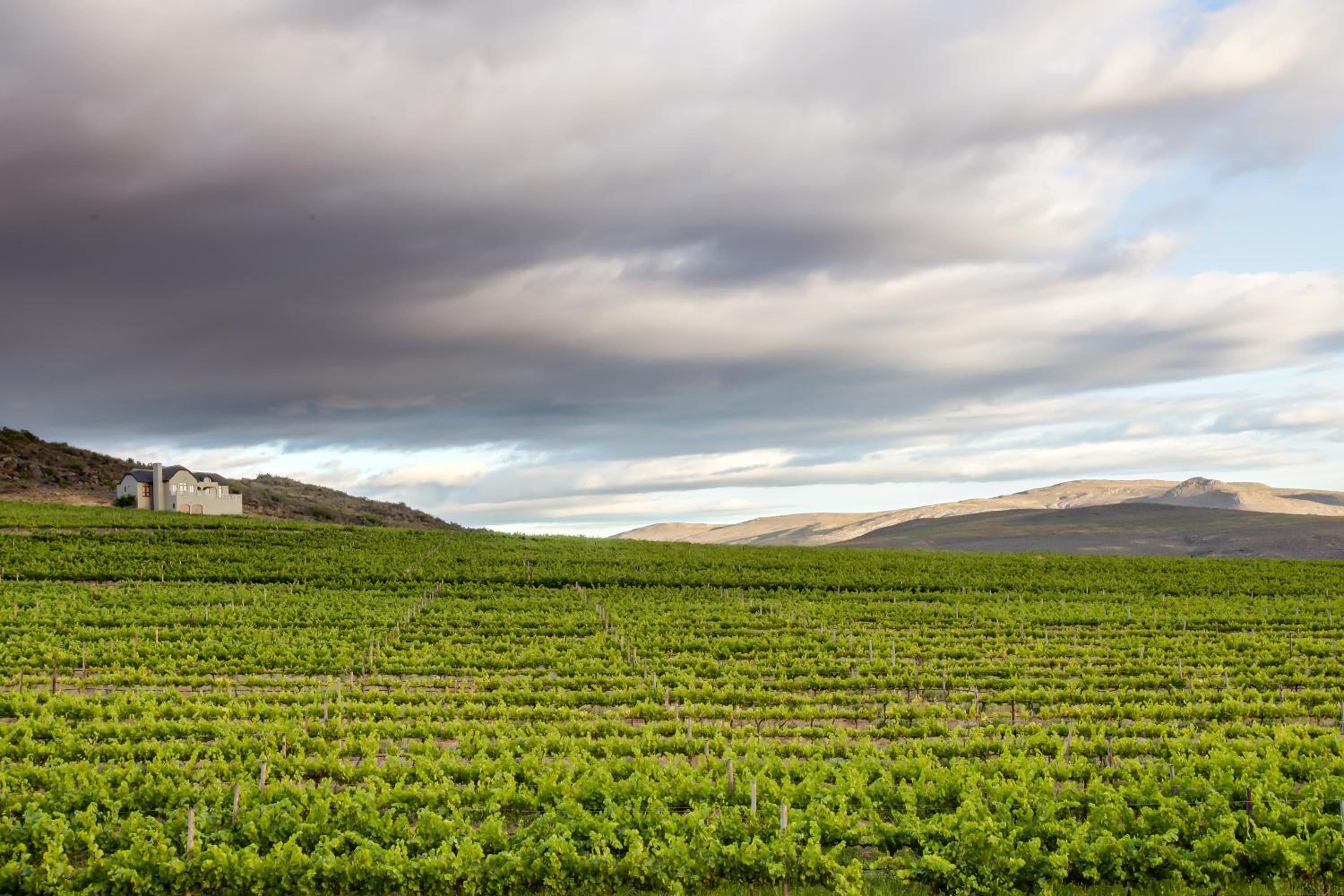 Lord's Wine Farm