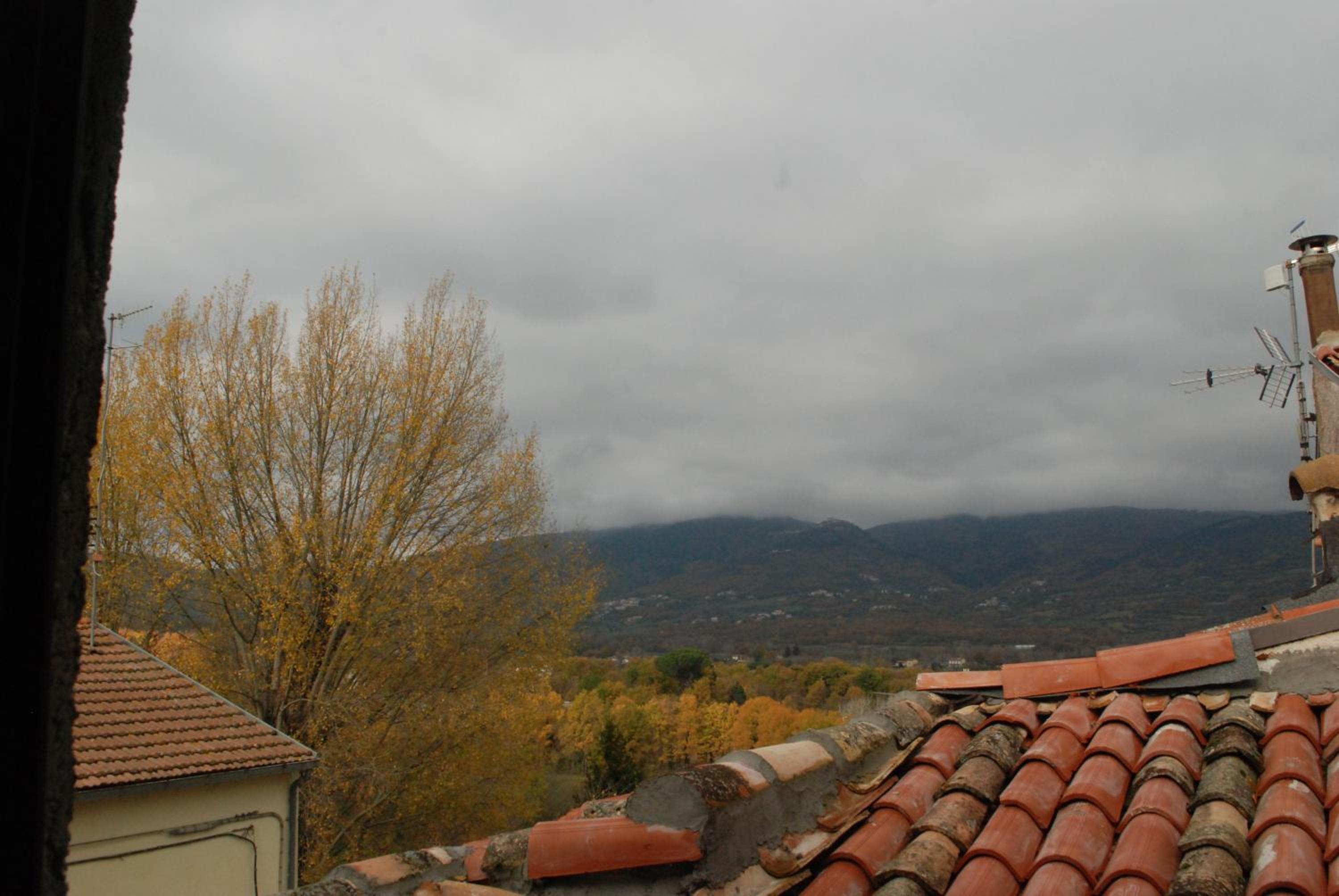 Photo 51