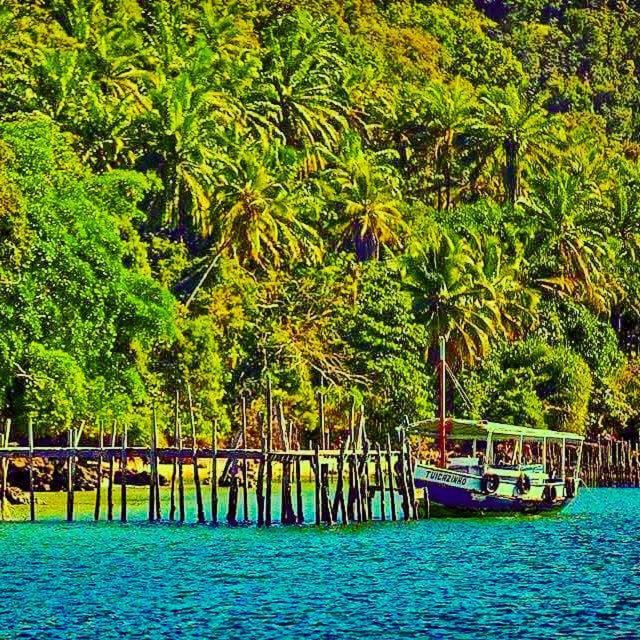 other