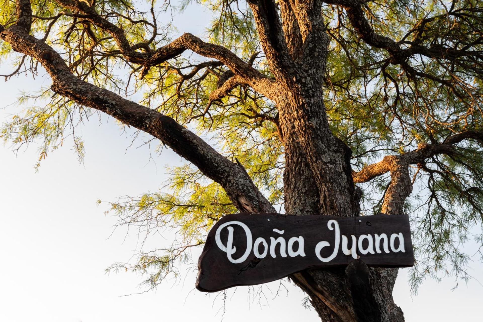 Cabañas Doña Juana