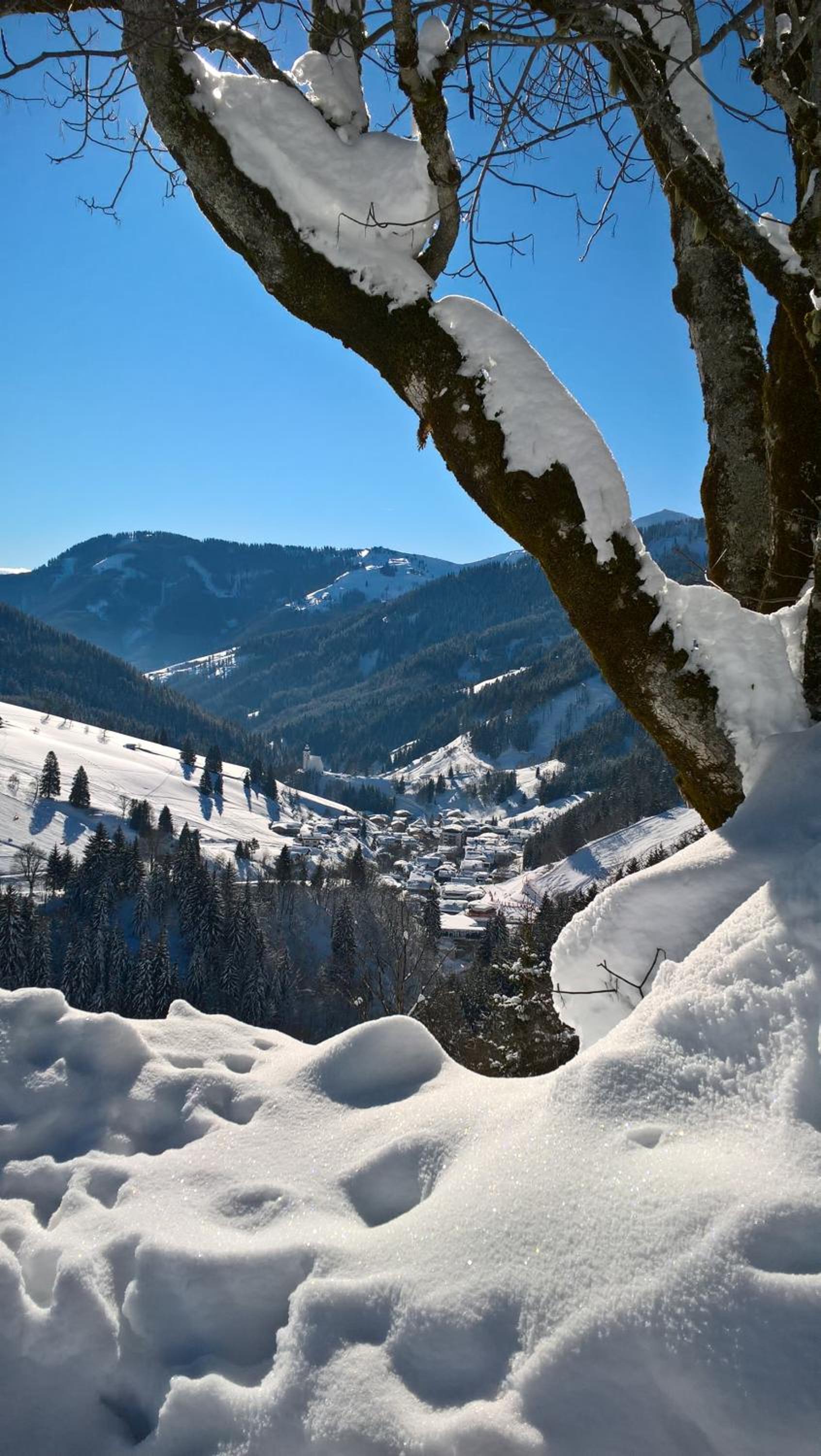 Das Hochkönig