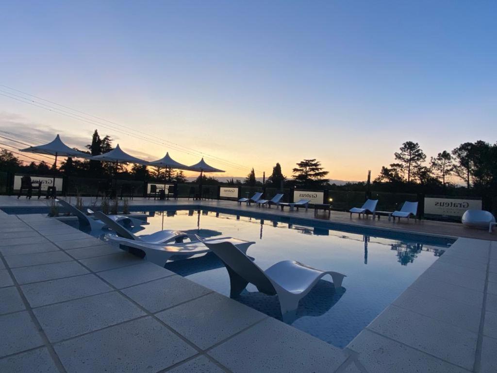 Grateus Luxury Apart & Spa