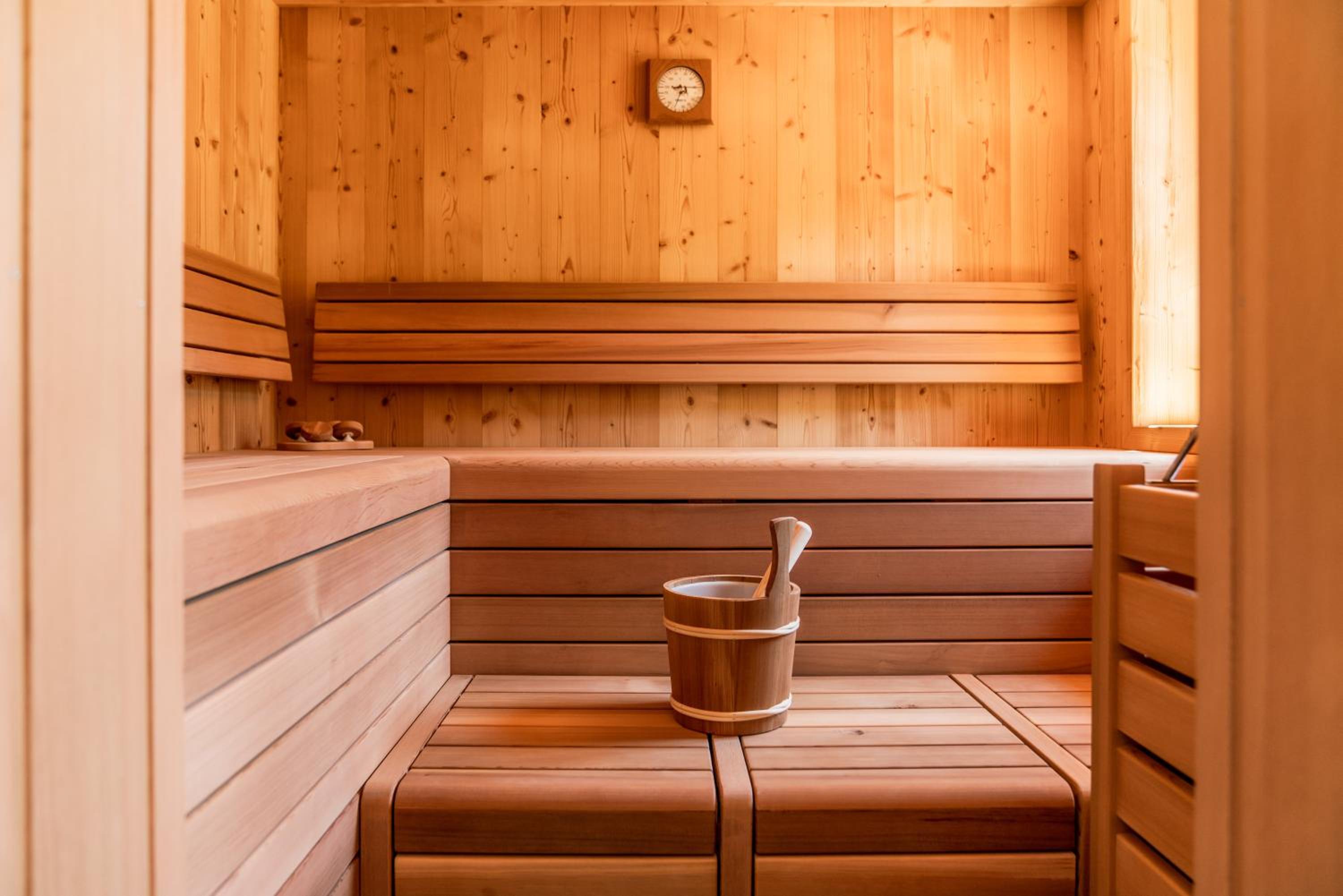 Luxury Chalets Gradenbach near Schladming view 5