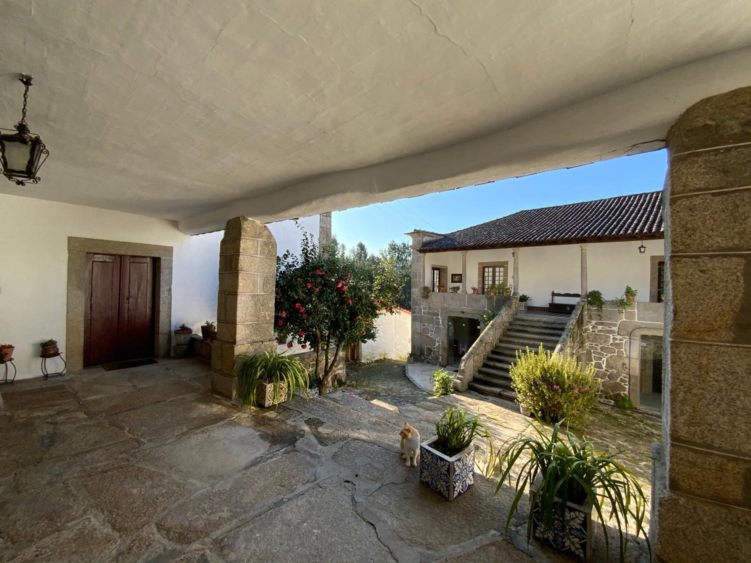 Quinta do Bravio view 5