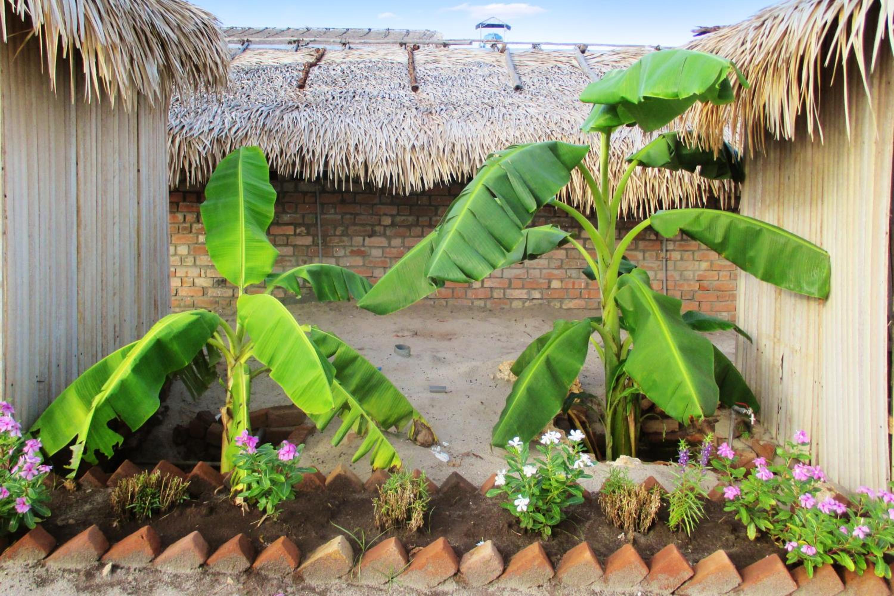 Spacious Apartment in Majunga