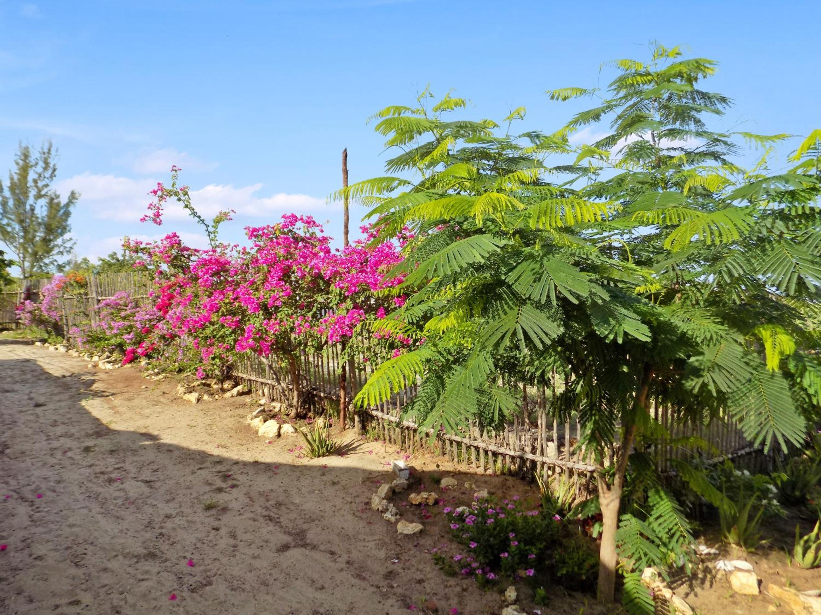 Spacious Apartment in Majunga