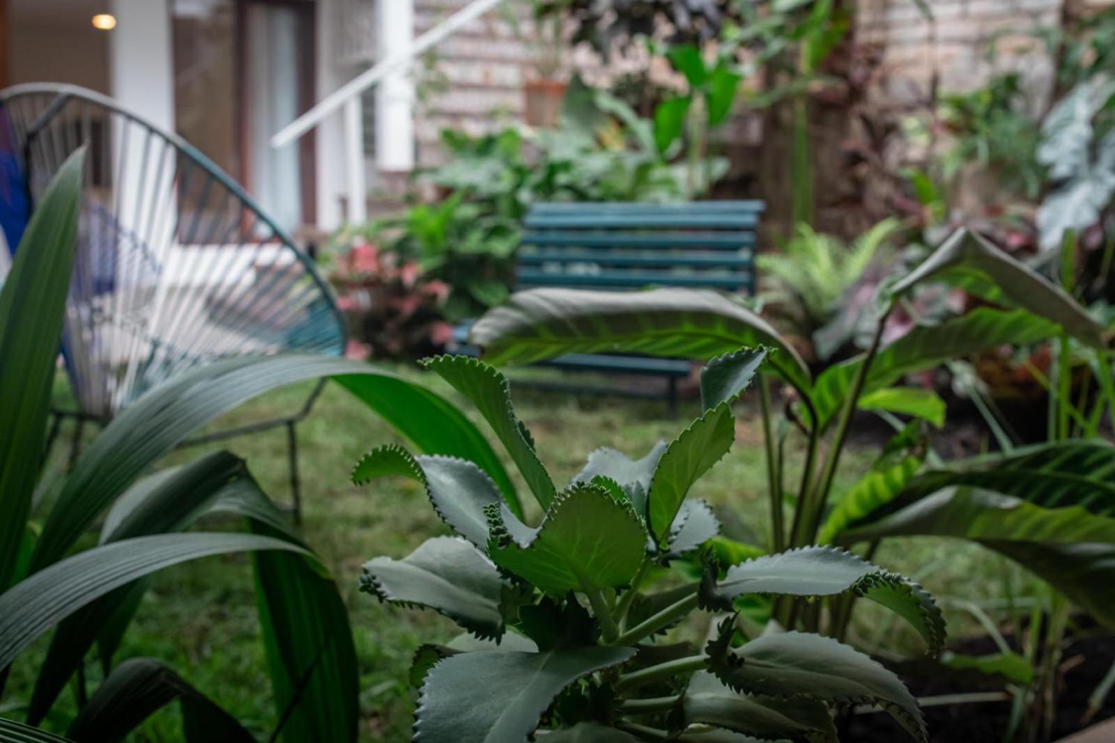 Muguet House Granada