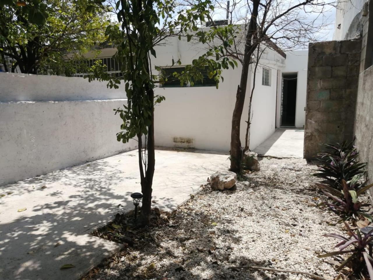 Casa Colonial Centro