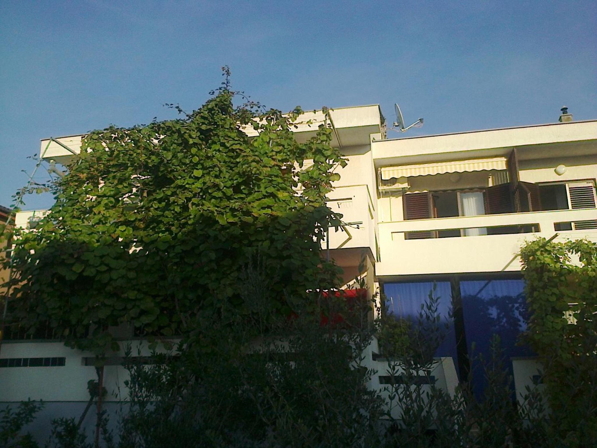 Photo 31