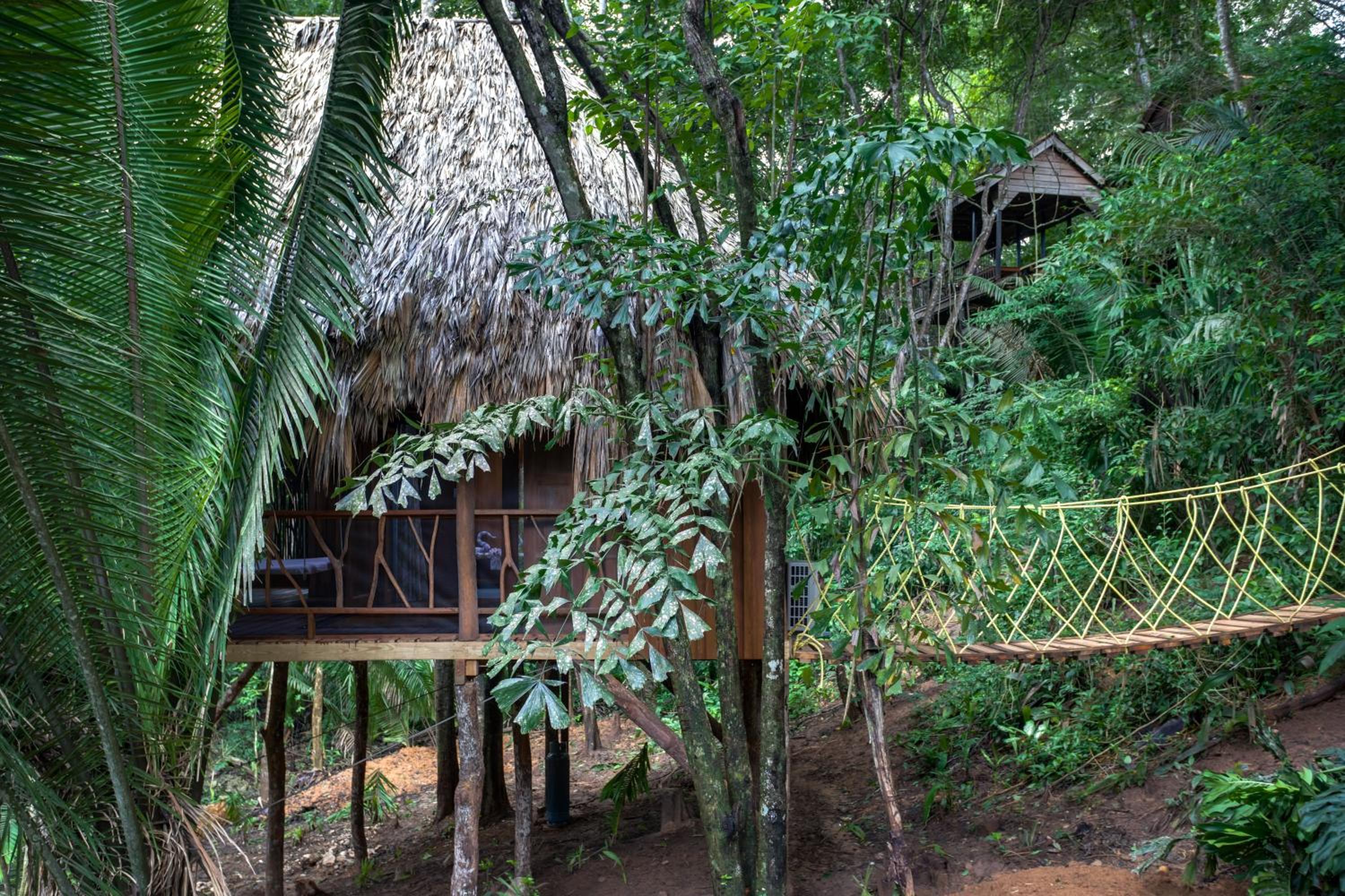 Sweet Songs Jungle Lodge
