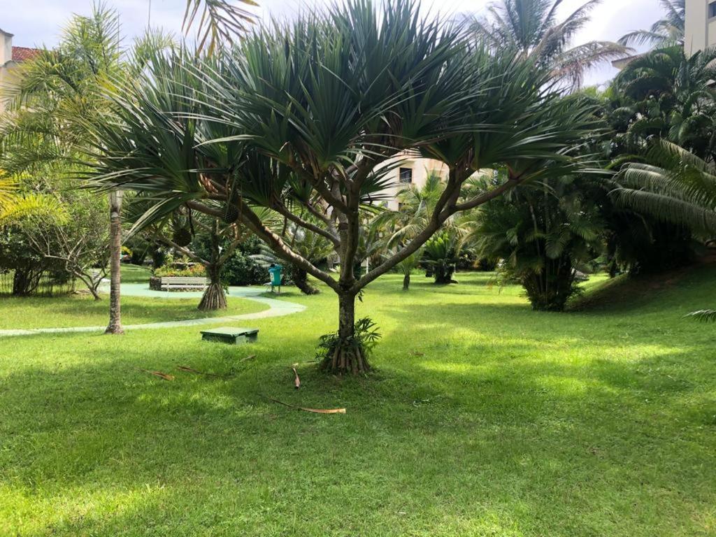 Apartamento Wembley Tenis - Toninhas - Ubatuba view 4