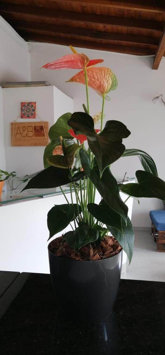 Habitación privada en casa de familia cerca del CC VIVA Envigado