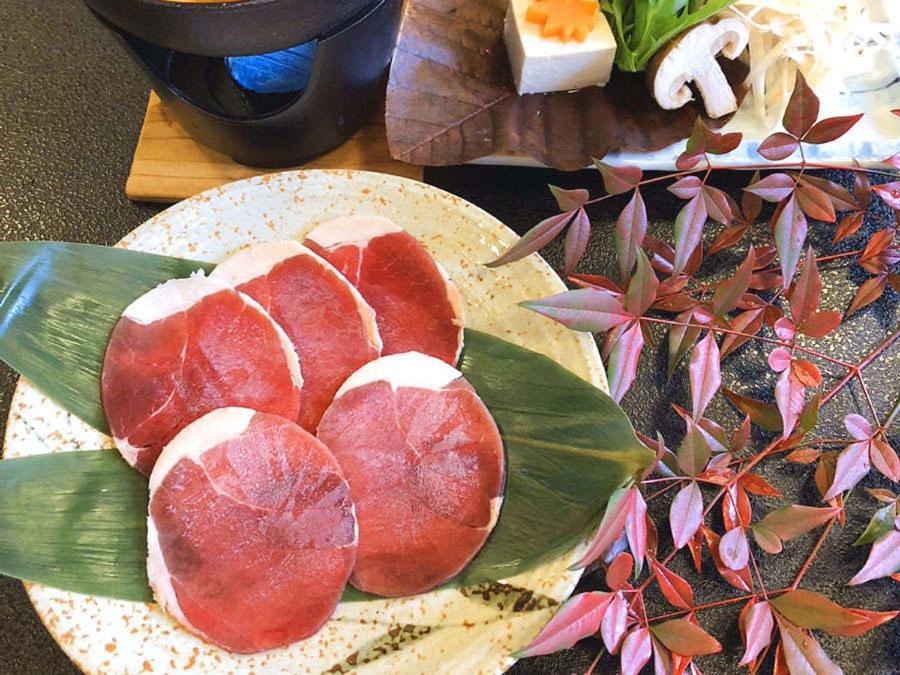 Shiobara Onsen Tokiwa Hotel view 4