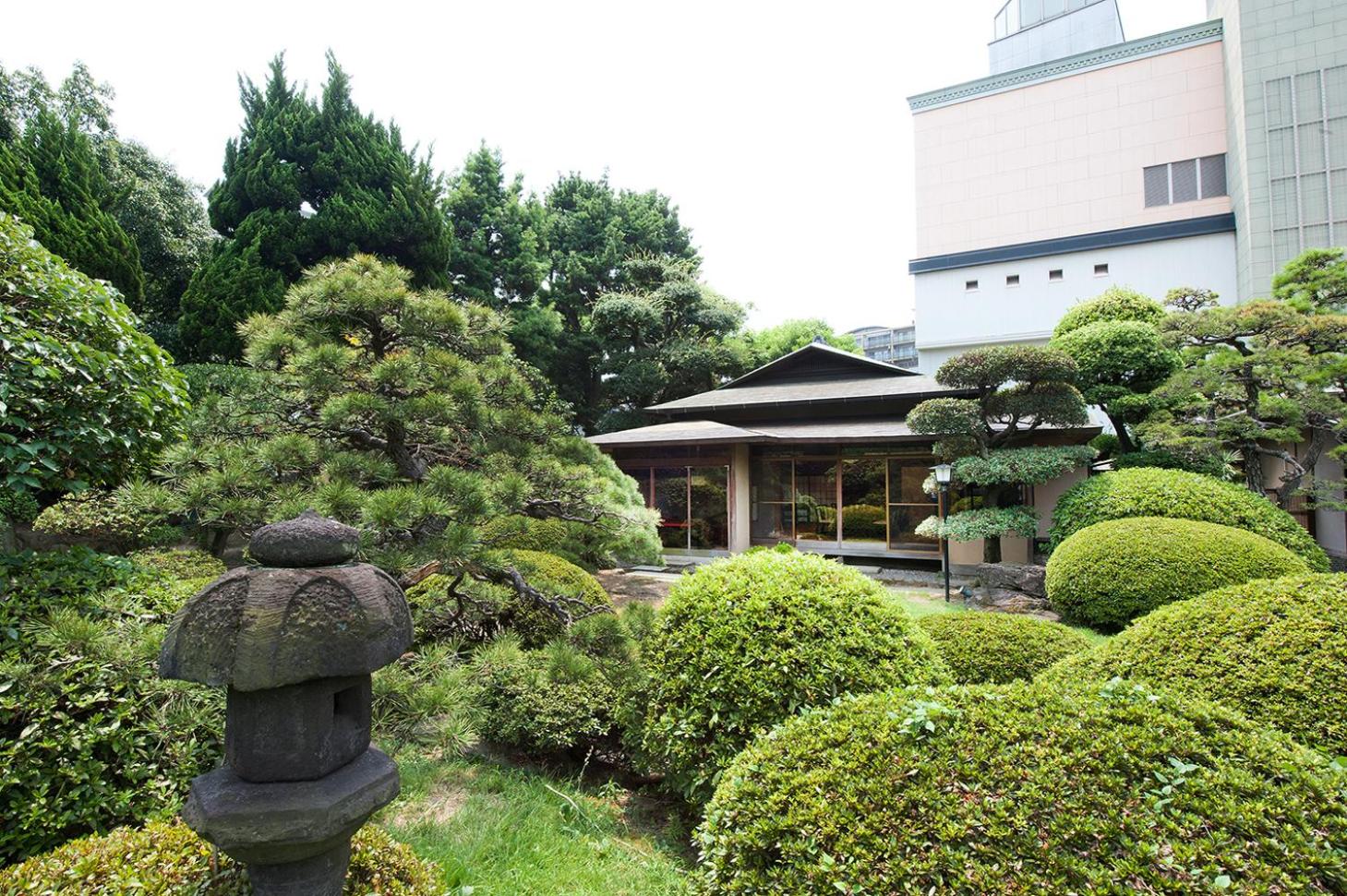 Photo 42