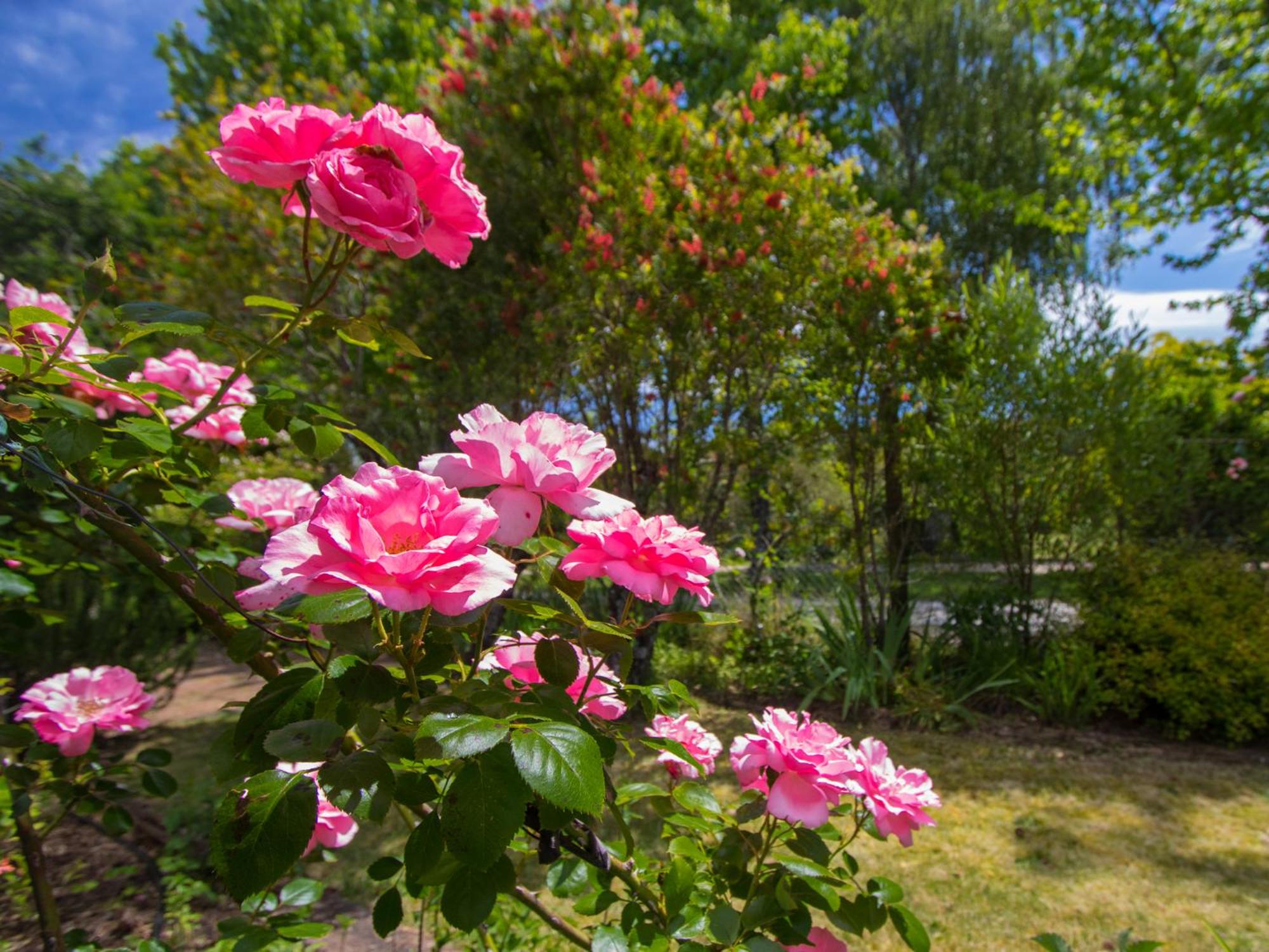 Secret Garden Lodge - Marahau Holiday Home view 4