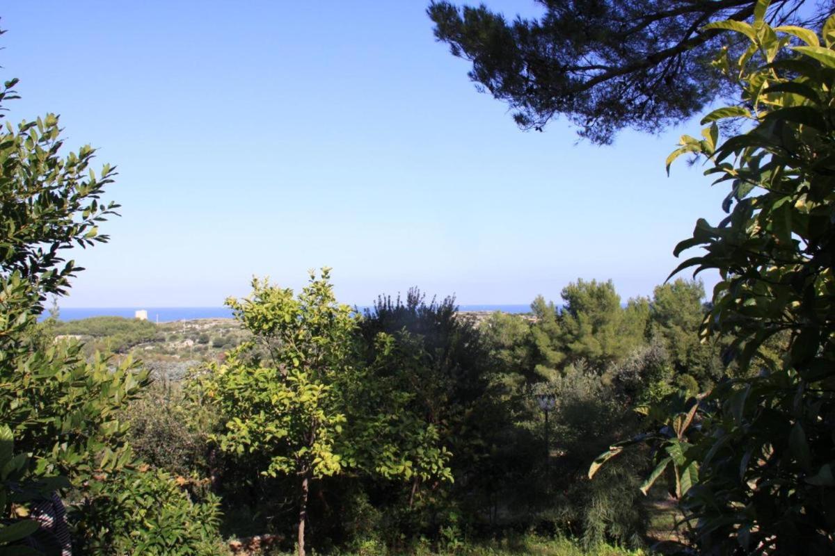 Residence Gli Stingi Apartment four people photo 2