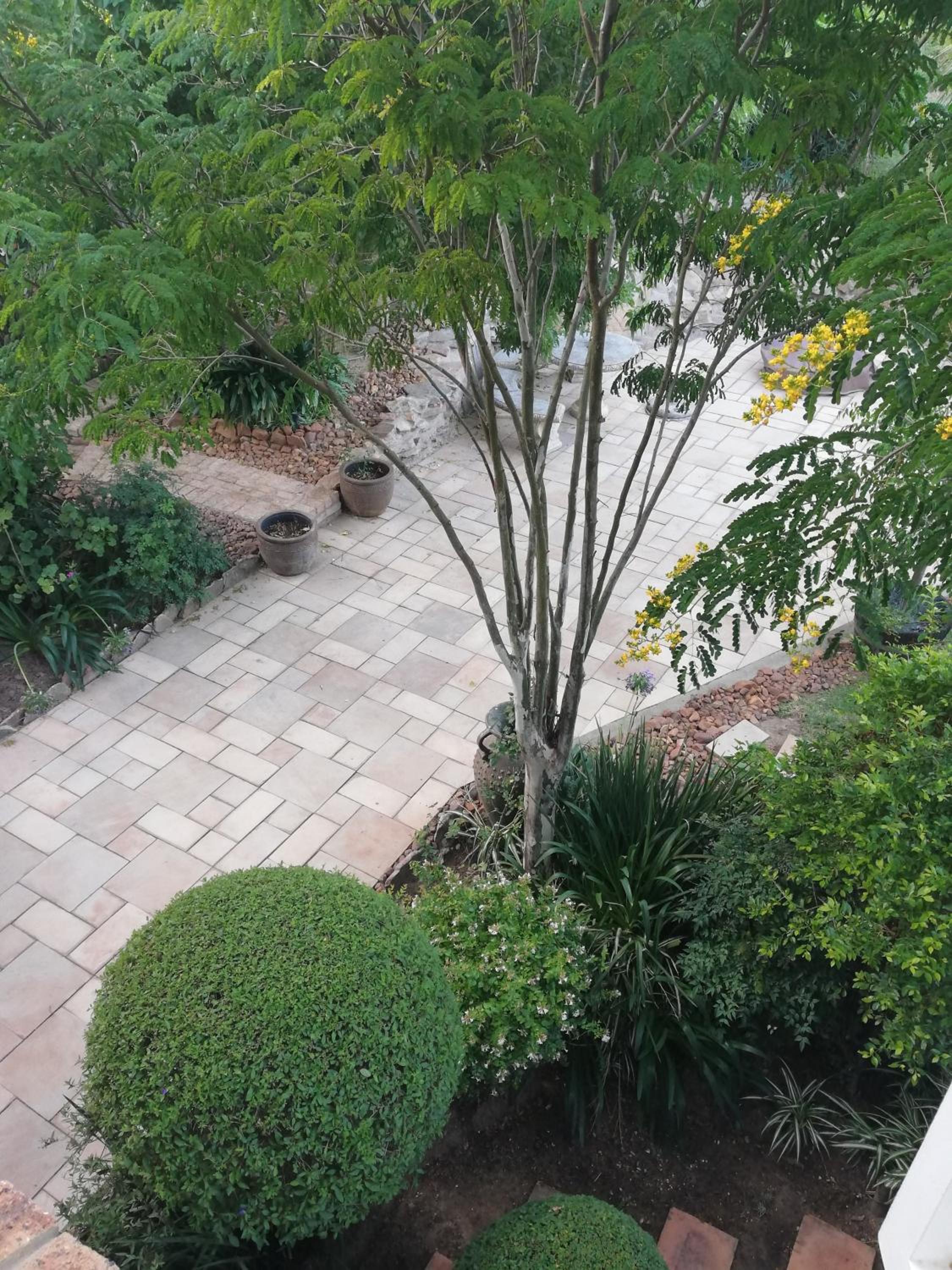 Leeuwenhof Guesthouse view 2