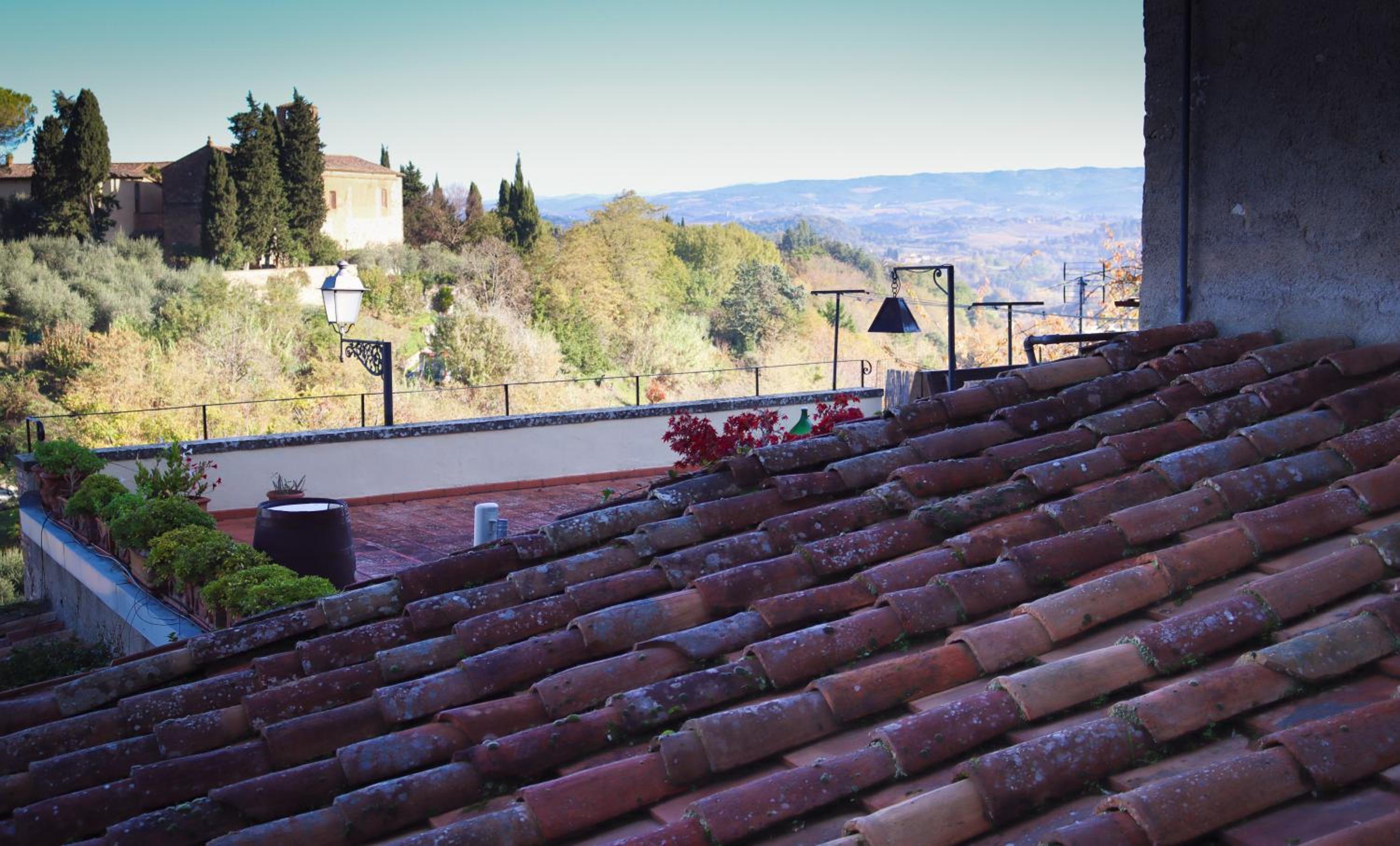 roof