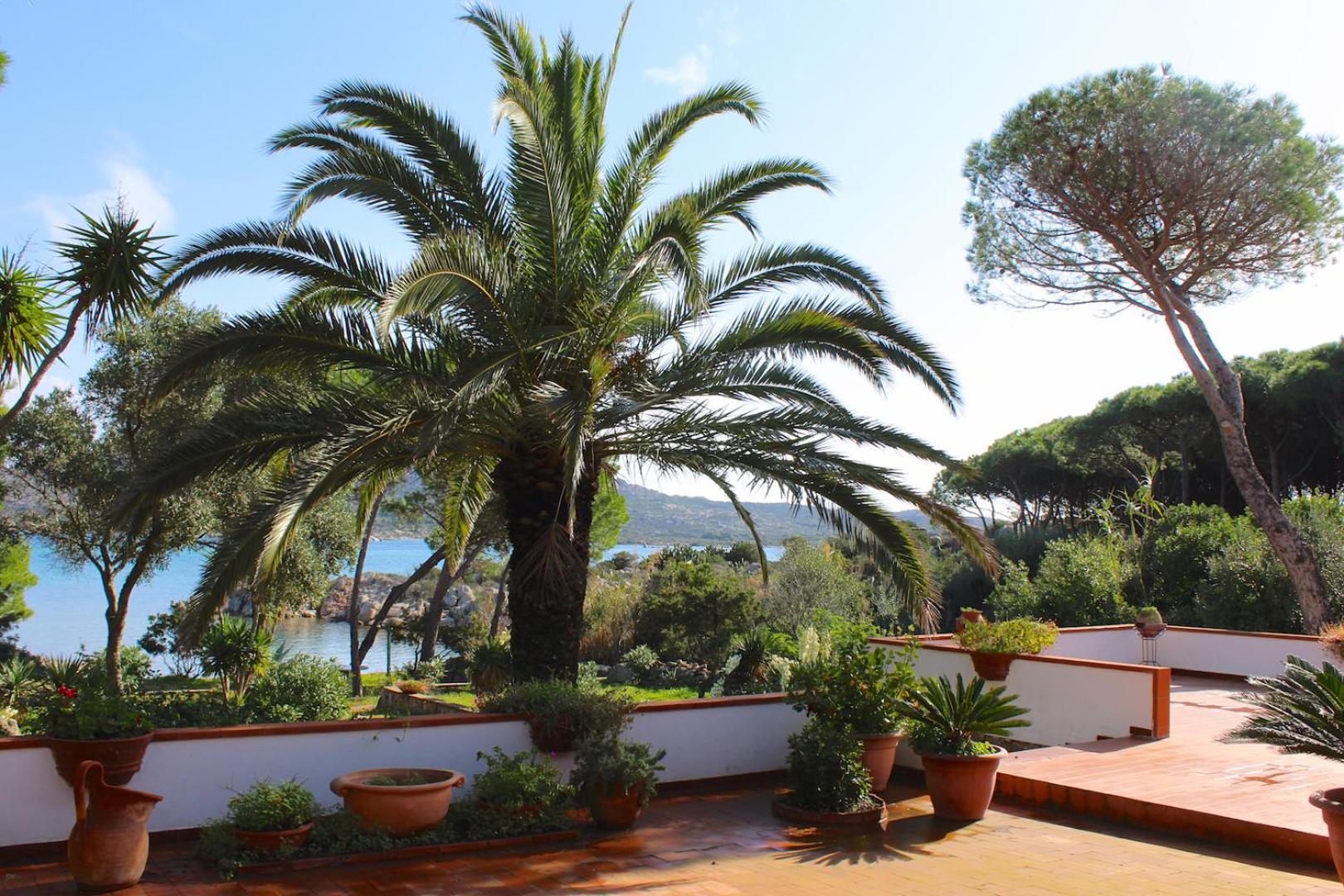 Villa Susy al mare view 4