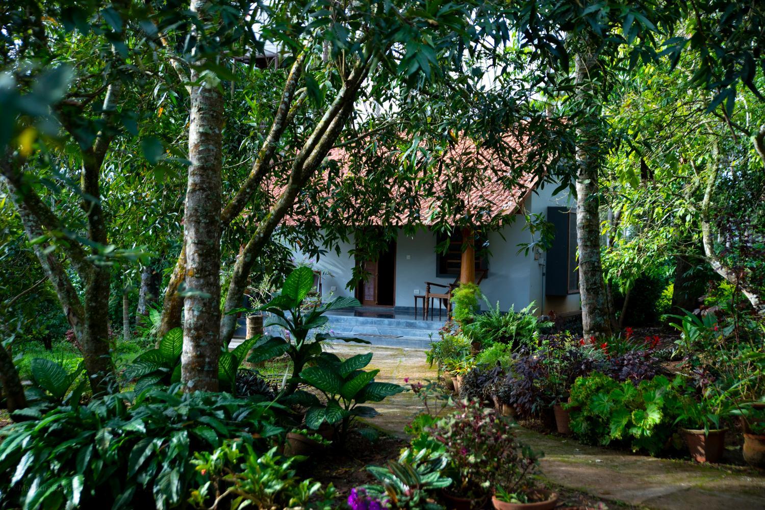 Tarana Homestay