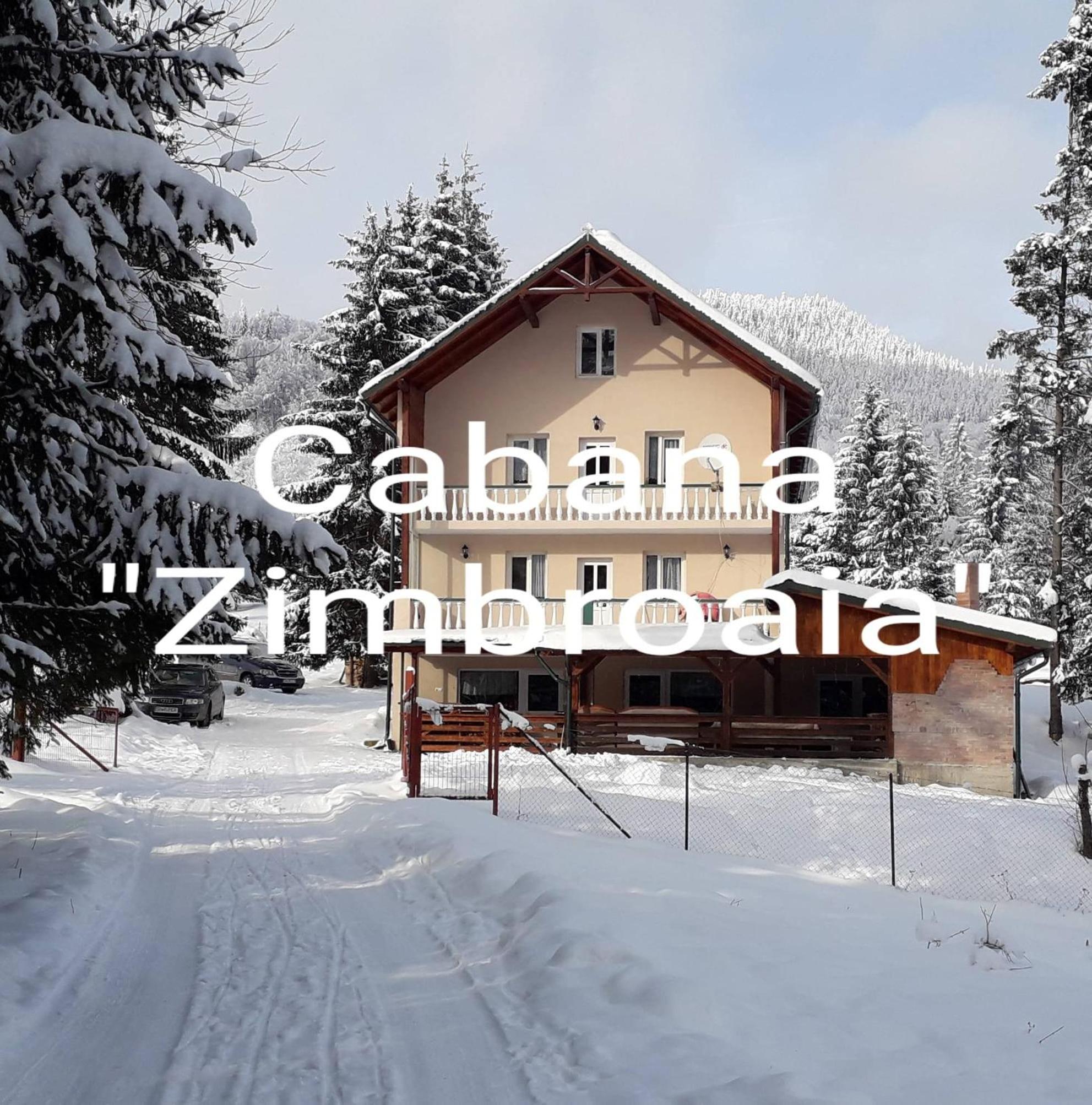 CABANA ZIMBROAIA 8 camere -Muntii Bârgăului, Transilvania view 3