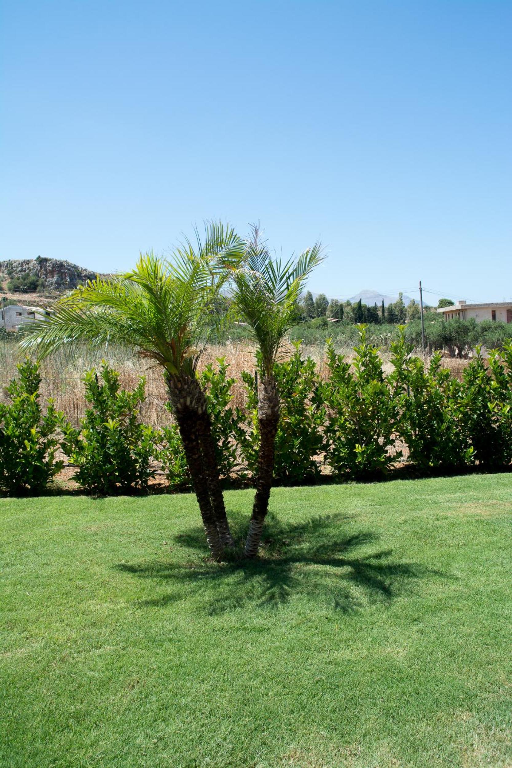 Photo 27