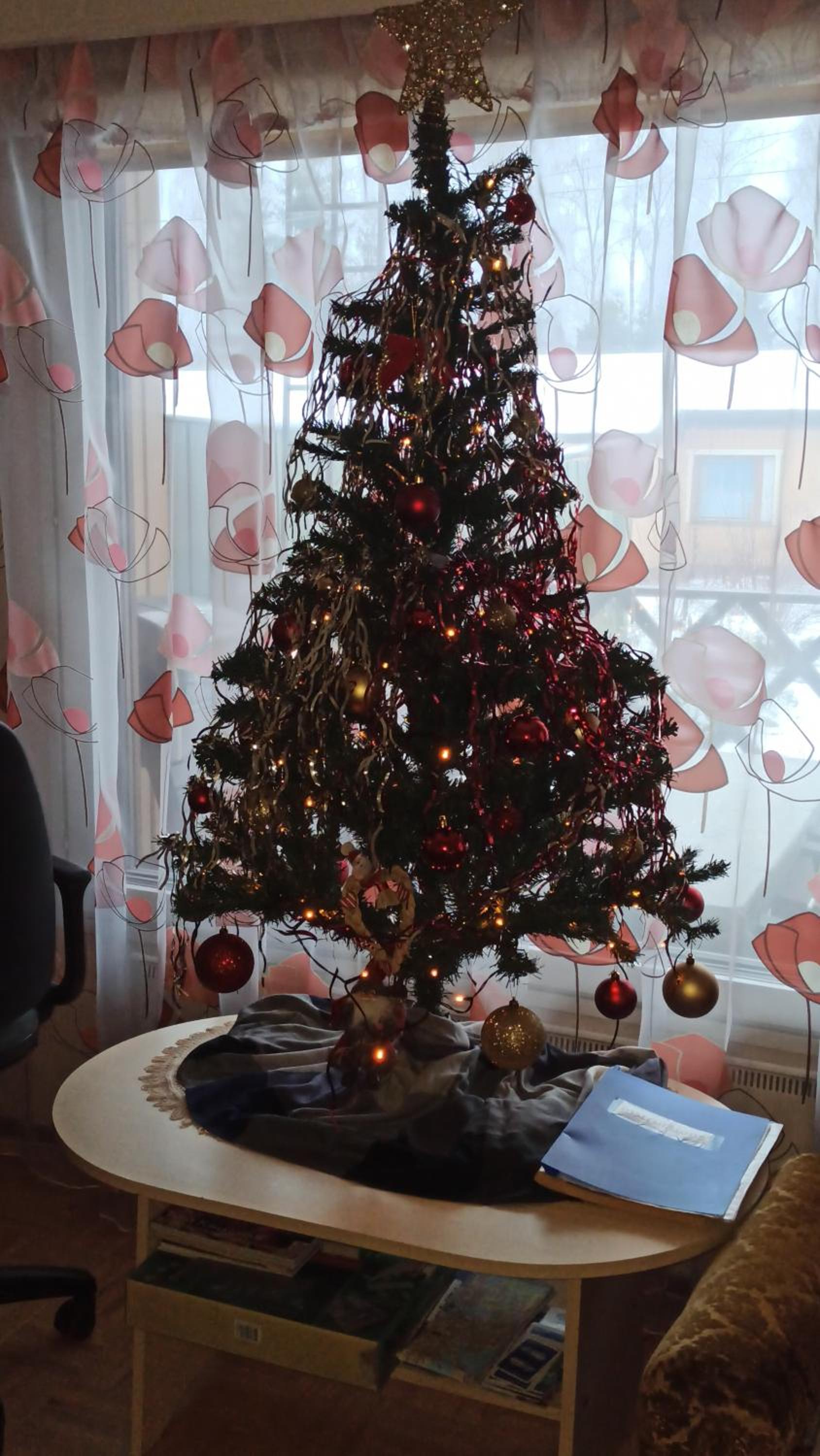 Photo 43