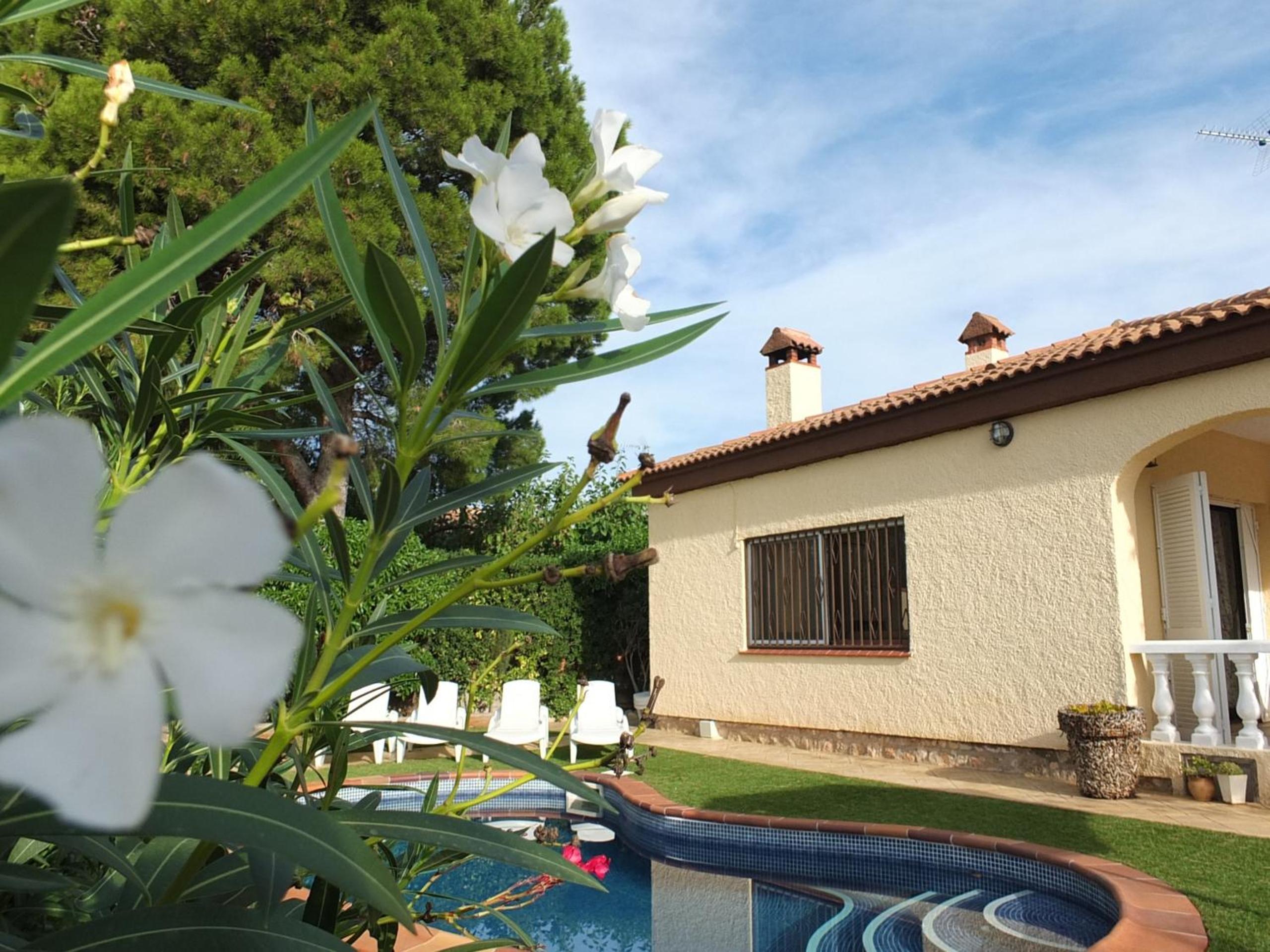 Villa Esperanza 4bedroom villa with air-conditioning & private swimming pool photo 5