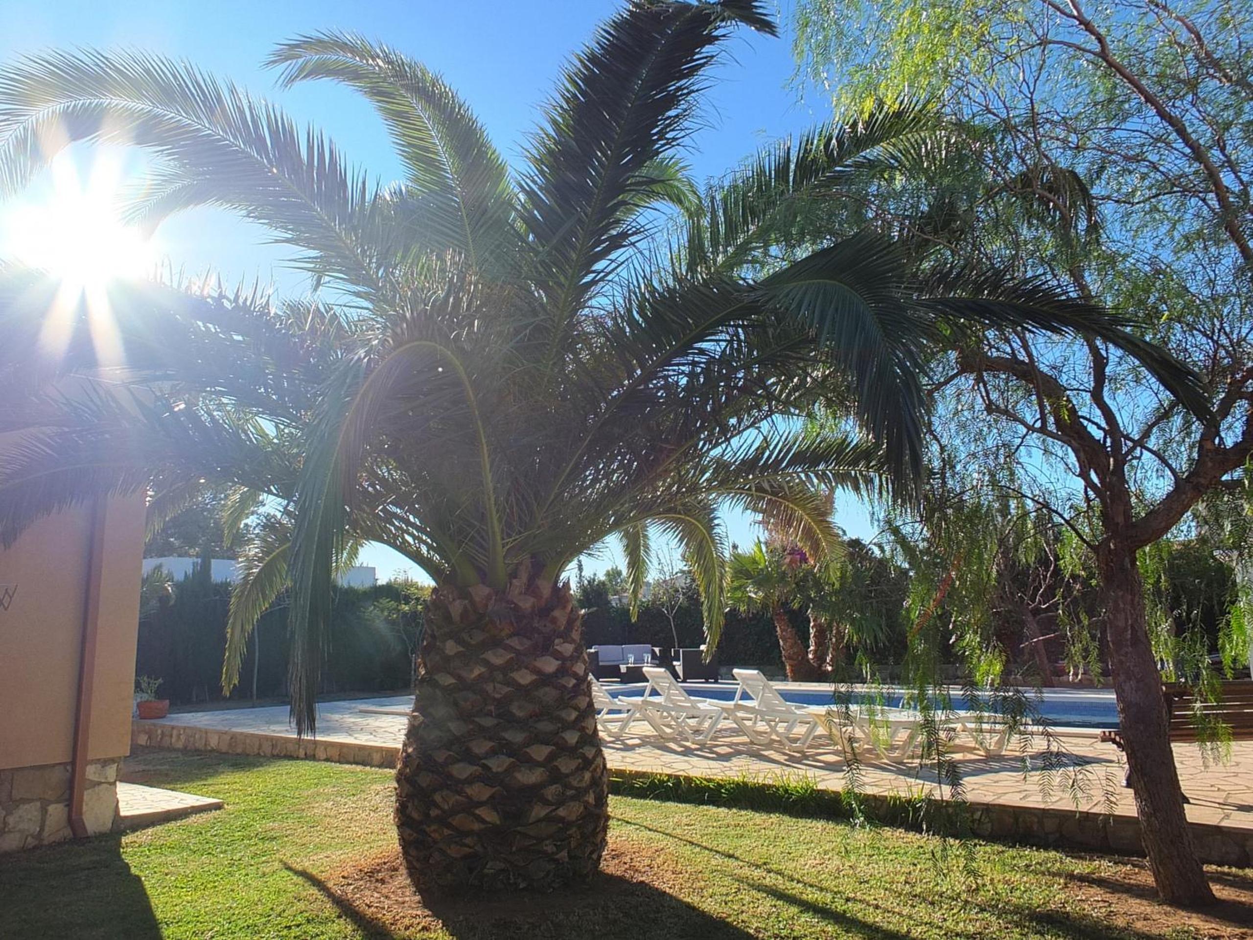 Villa Nerea with air conditioning & private swimming pool only 400m to the beach ideal for families photo 3