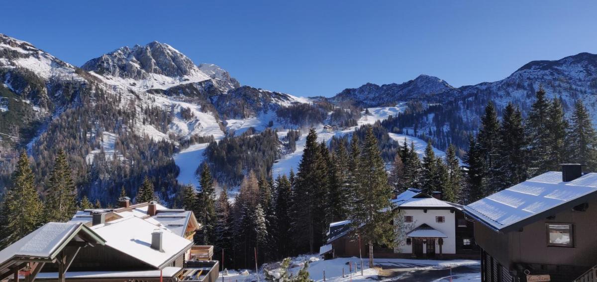 Almhütten Sonnblick & Almfried