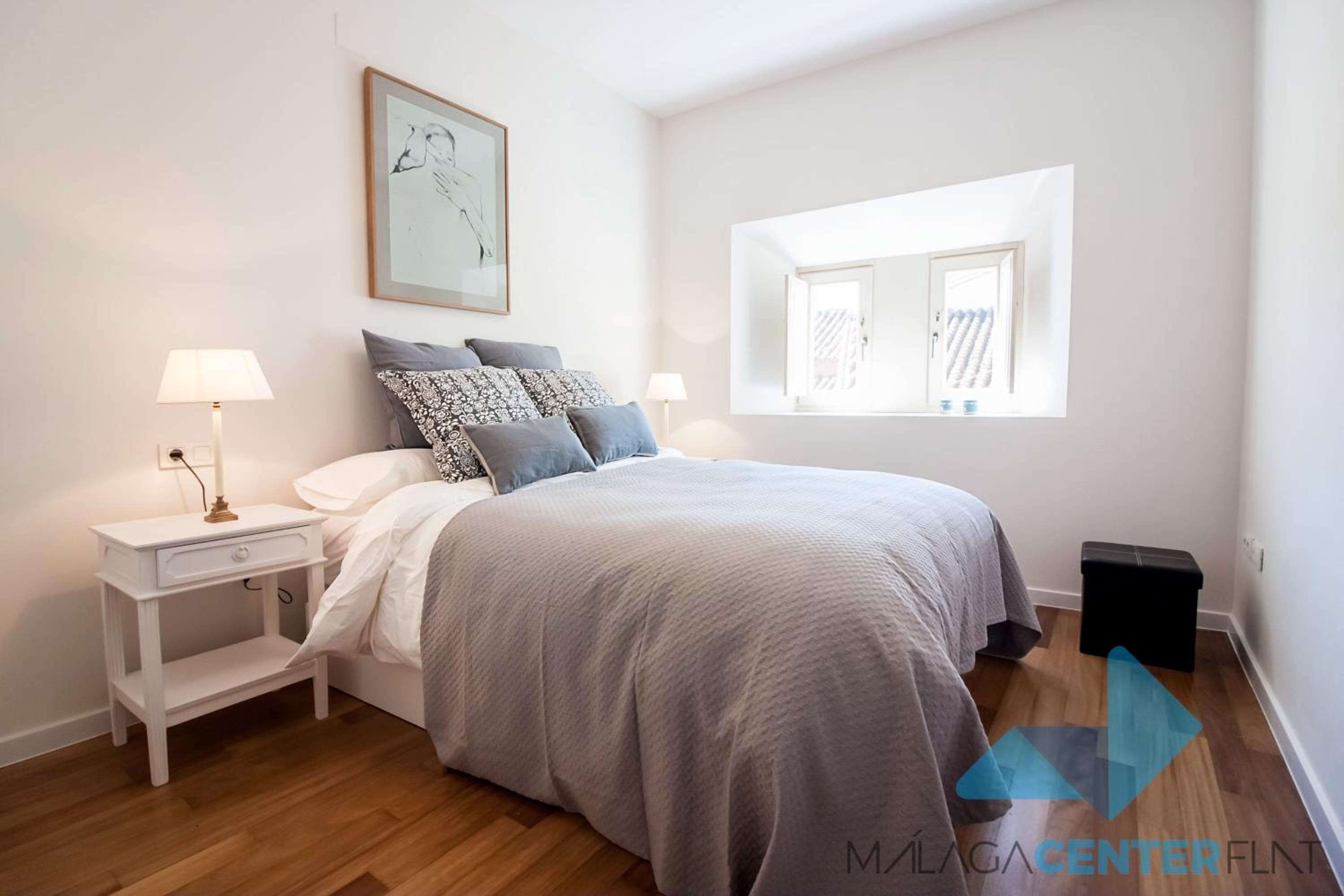 Malaga Center Flat Luxury