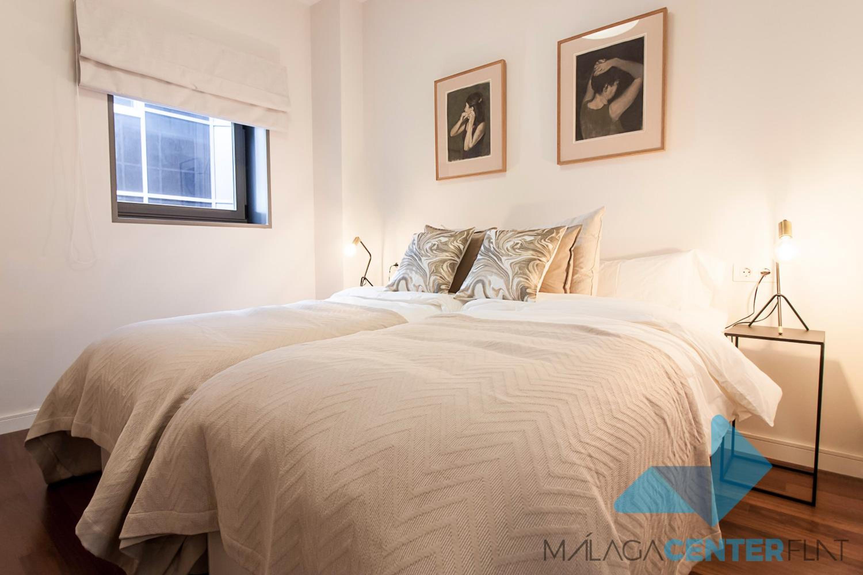 Malaga Center Flat Luxury