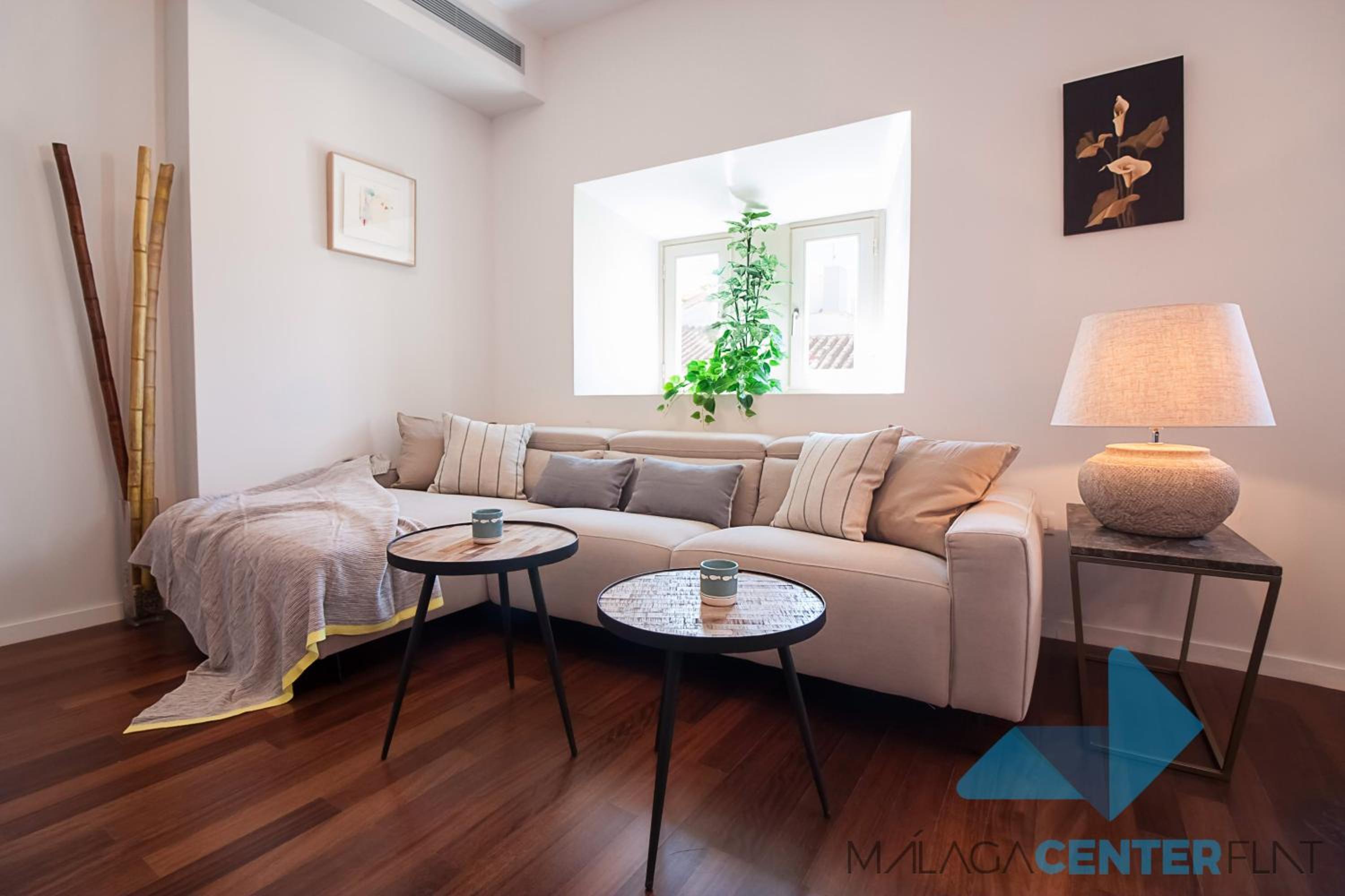 Malaga Center Flat Luxury