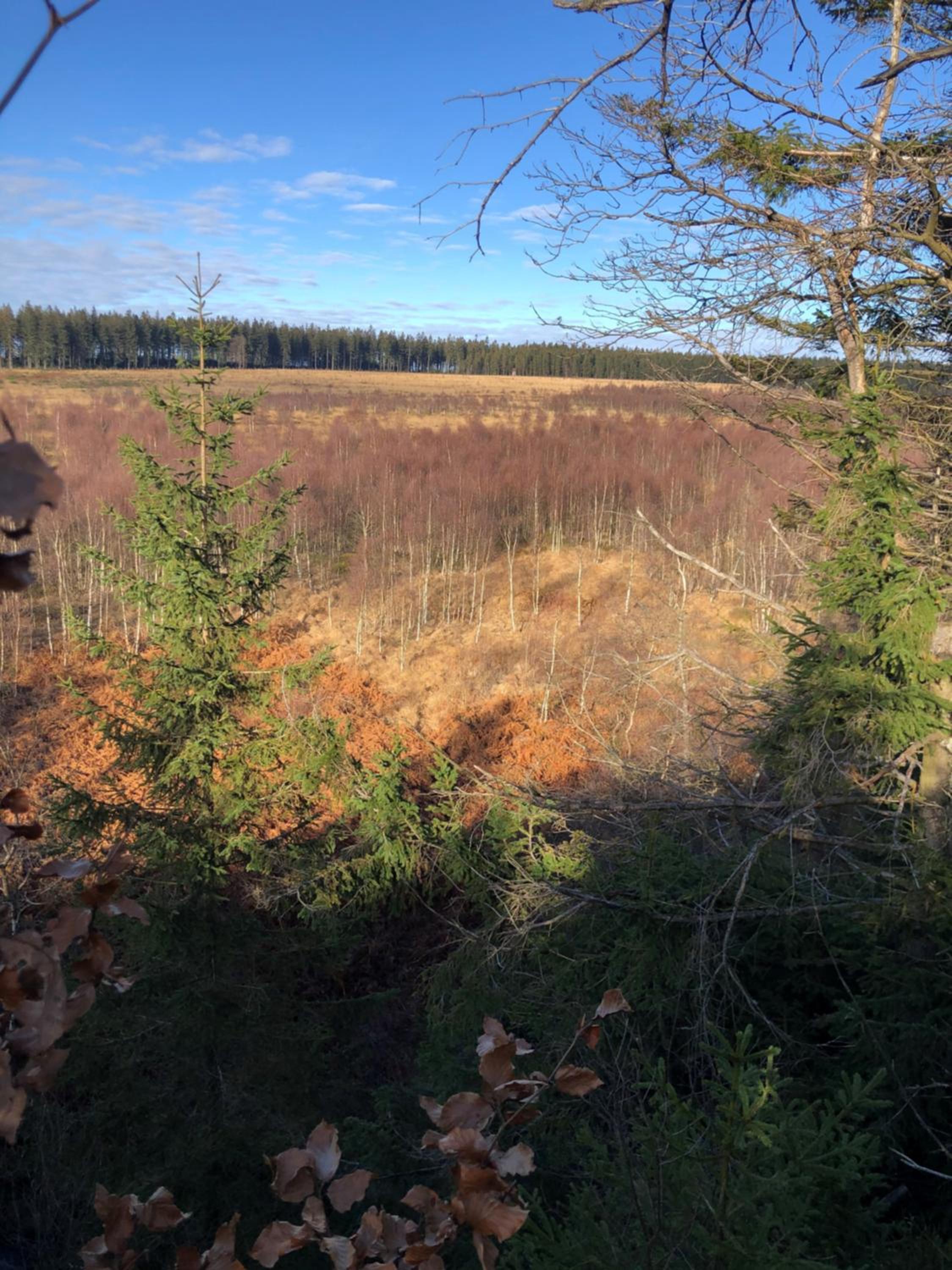 Terrasses de Malmedy Duplex LEANA LODGE 441