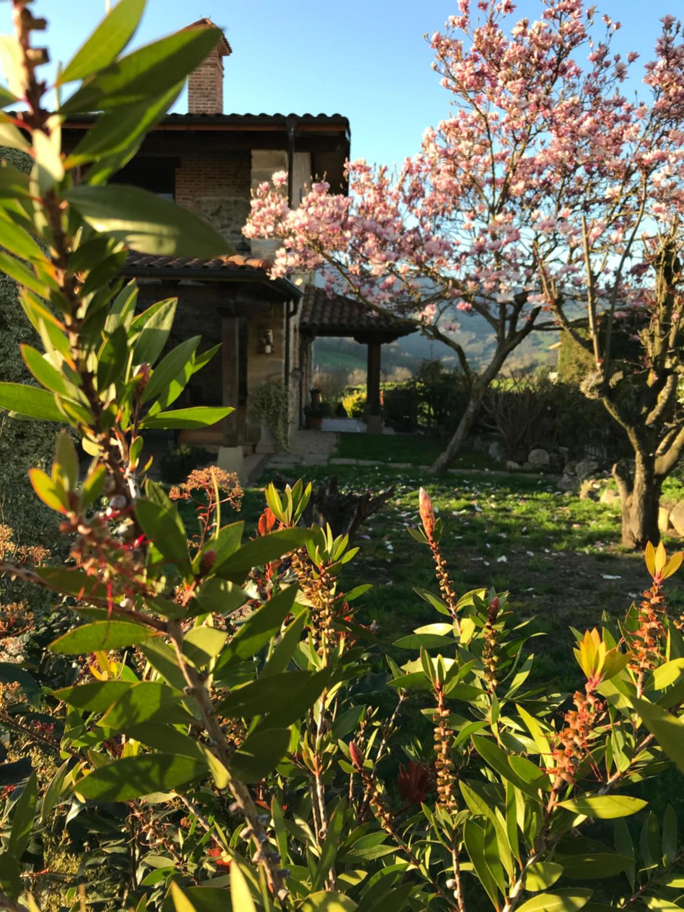 Vitori's House Tourist Accommodation view 5