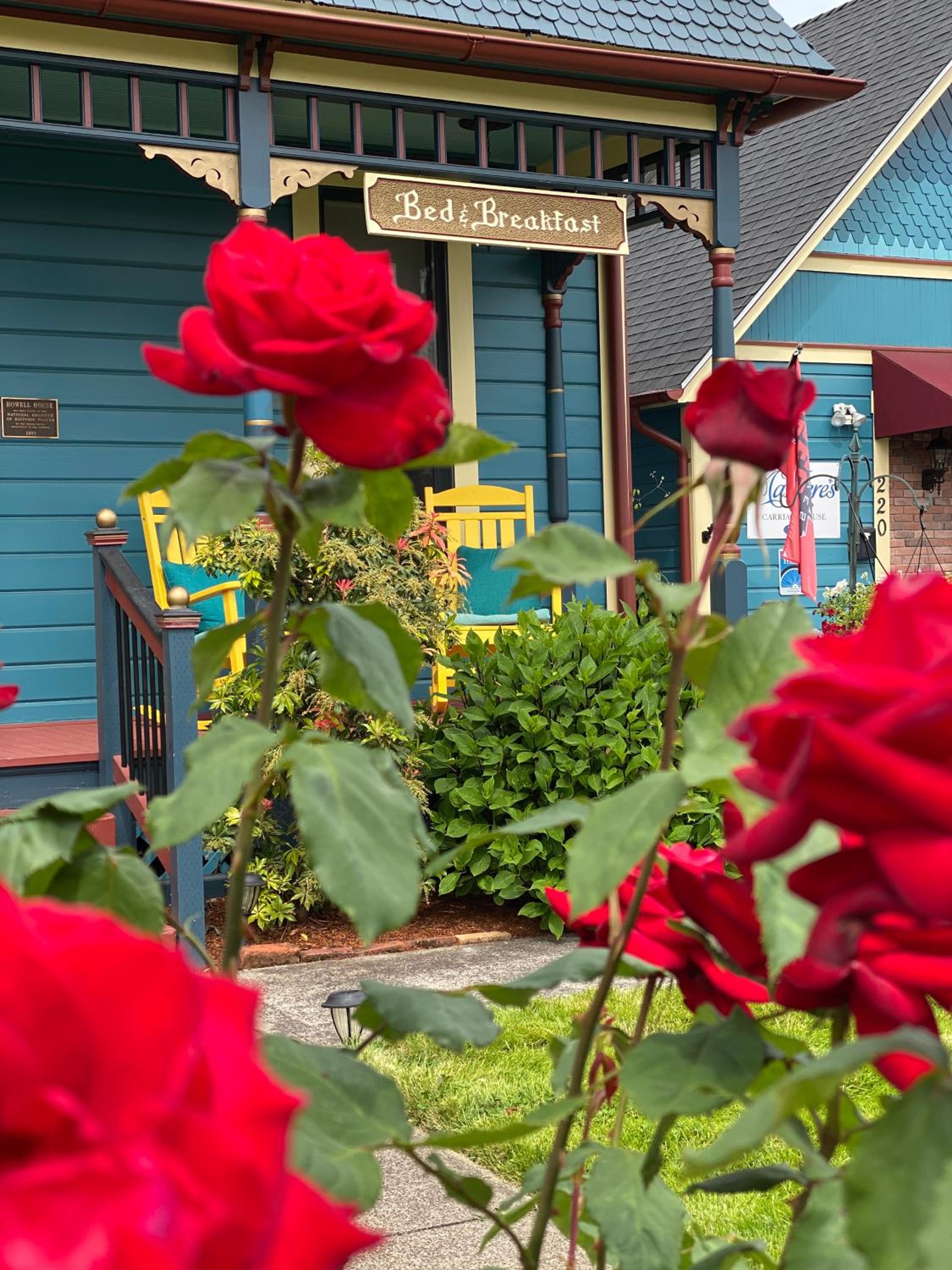 Albany Vacations - MaMere's Guest House - Property Image 5