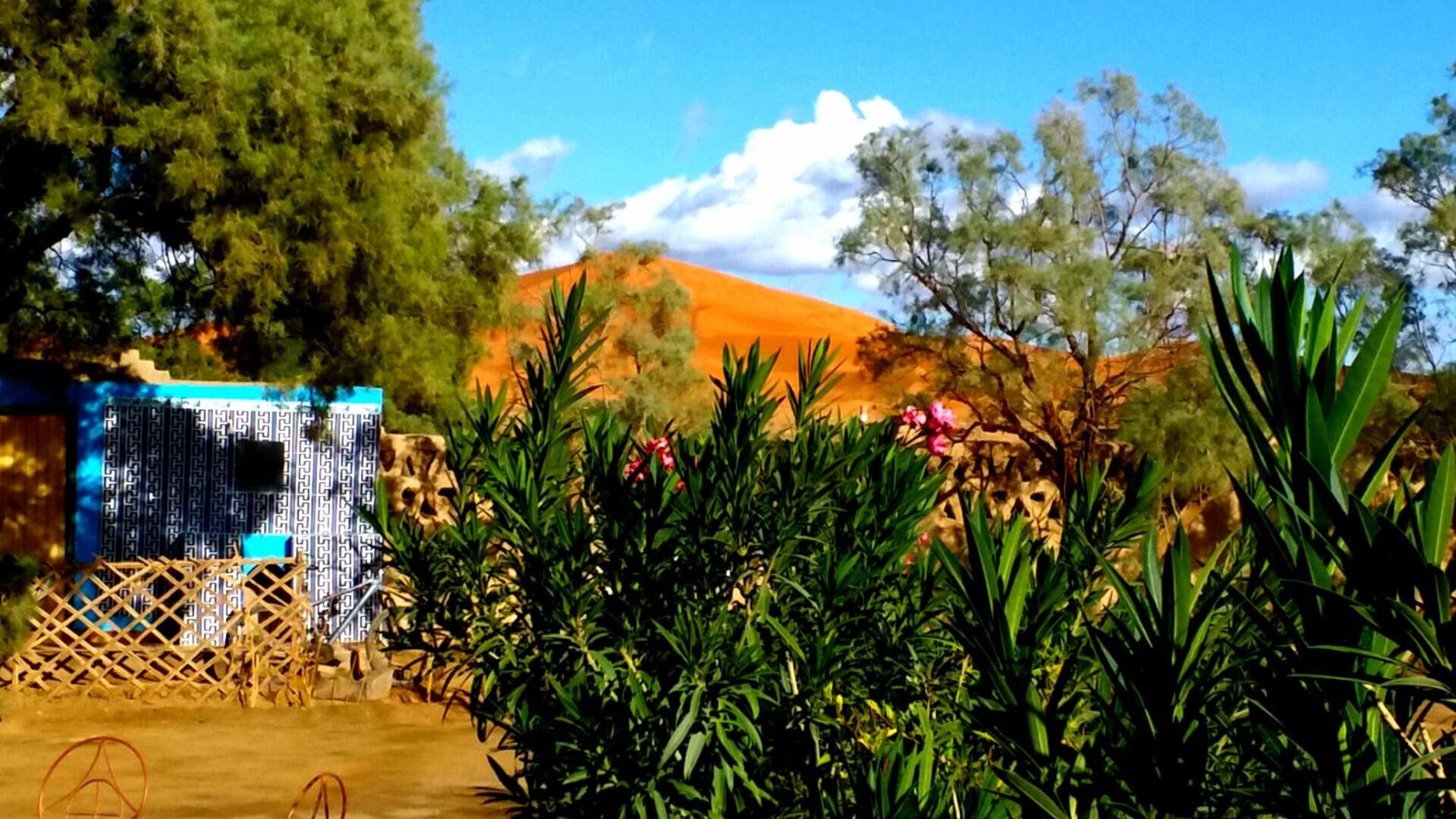 Auberge Camping Ocean des dunes view 4