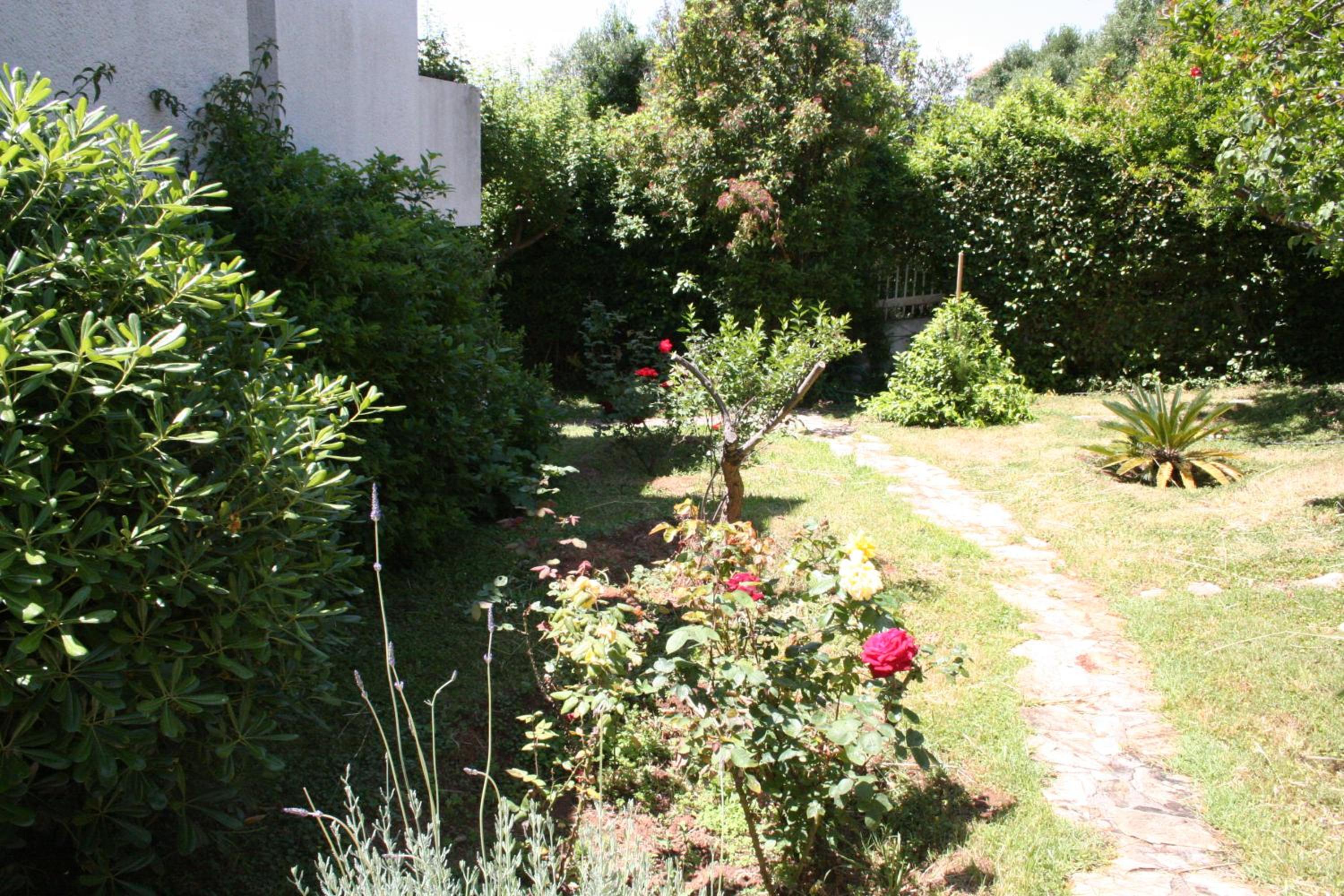 Photo 30