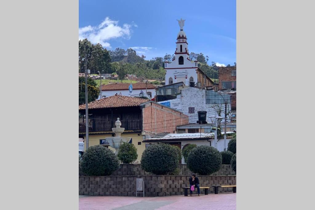 Photo 19
