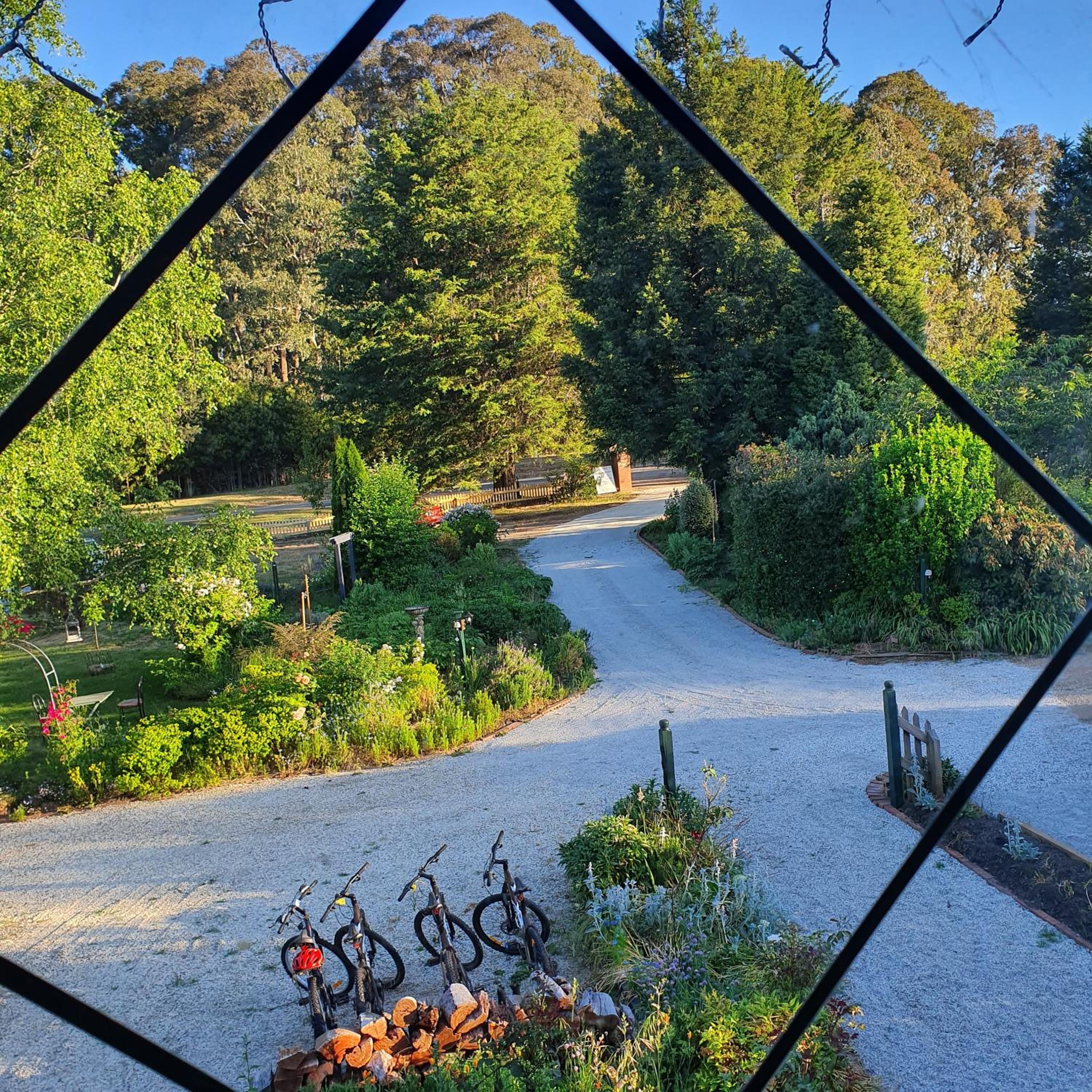 Oaktree Guest House